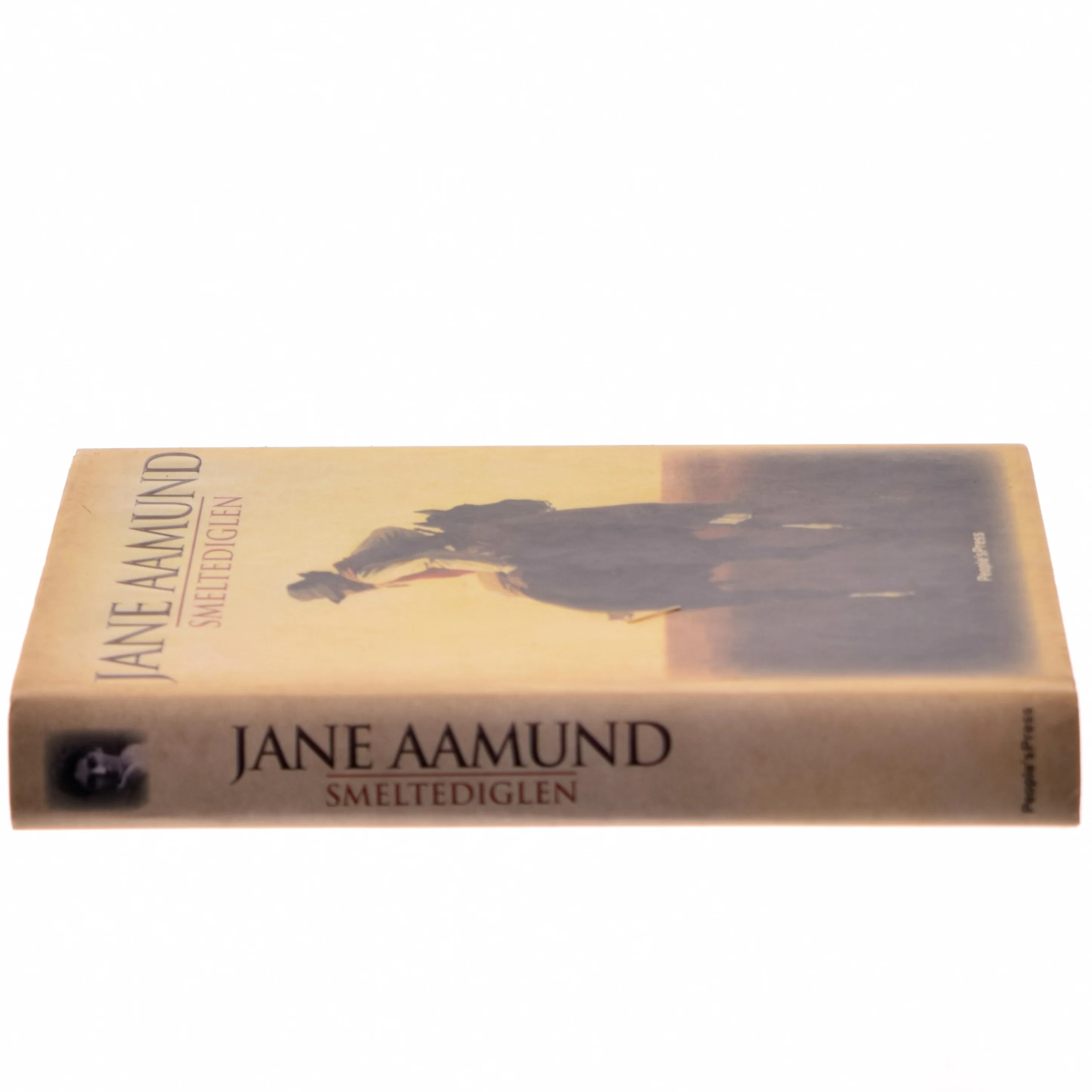 Smeltediglen : andet bind i slægtskrøniken om de dansk-argentinske indvandrere : roman af Jane Aamund (Bog)