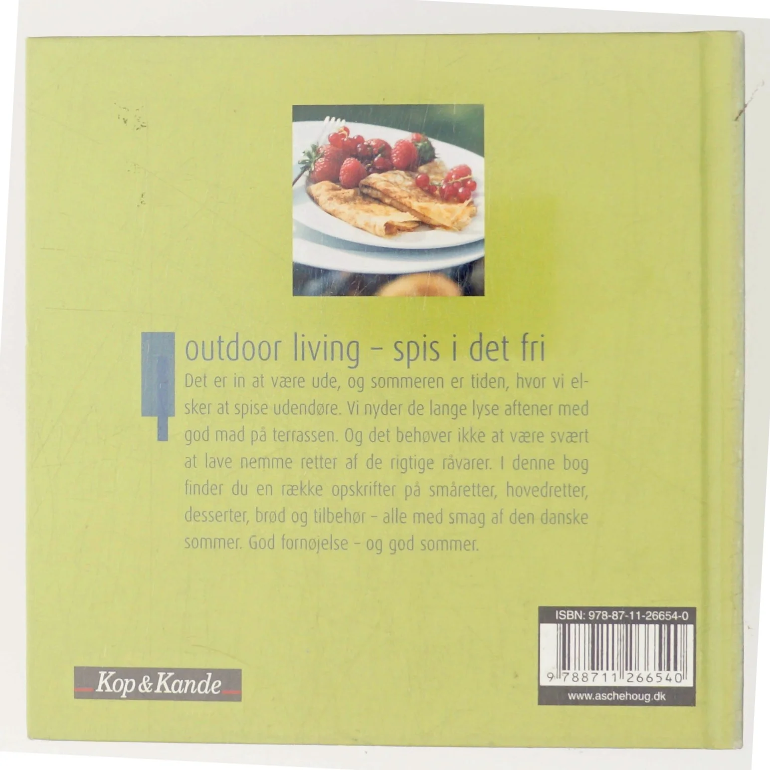 Outdoor living - spis i det fri : småretter, hovedretter, desserter, brød og tilbehør af Sandra Leigh Draznin (Bog)