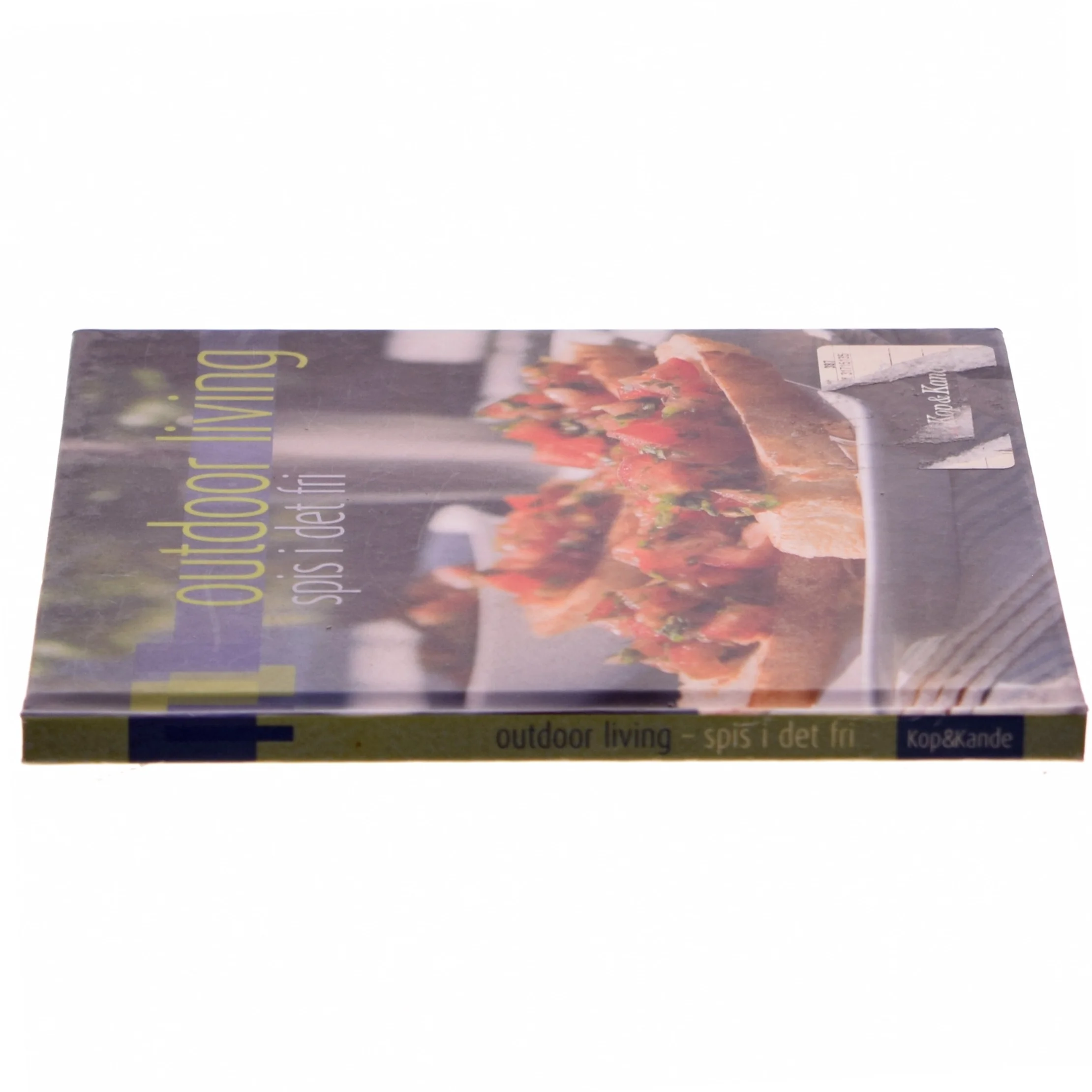 Outdoor living - spis i det fri : småretter, hovedretter, desserter, brød og tilbehør af Sandra Leigh Draznin (Bog)