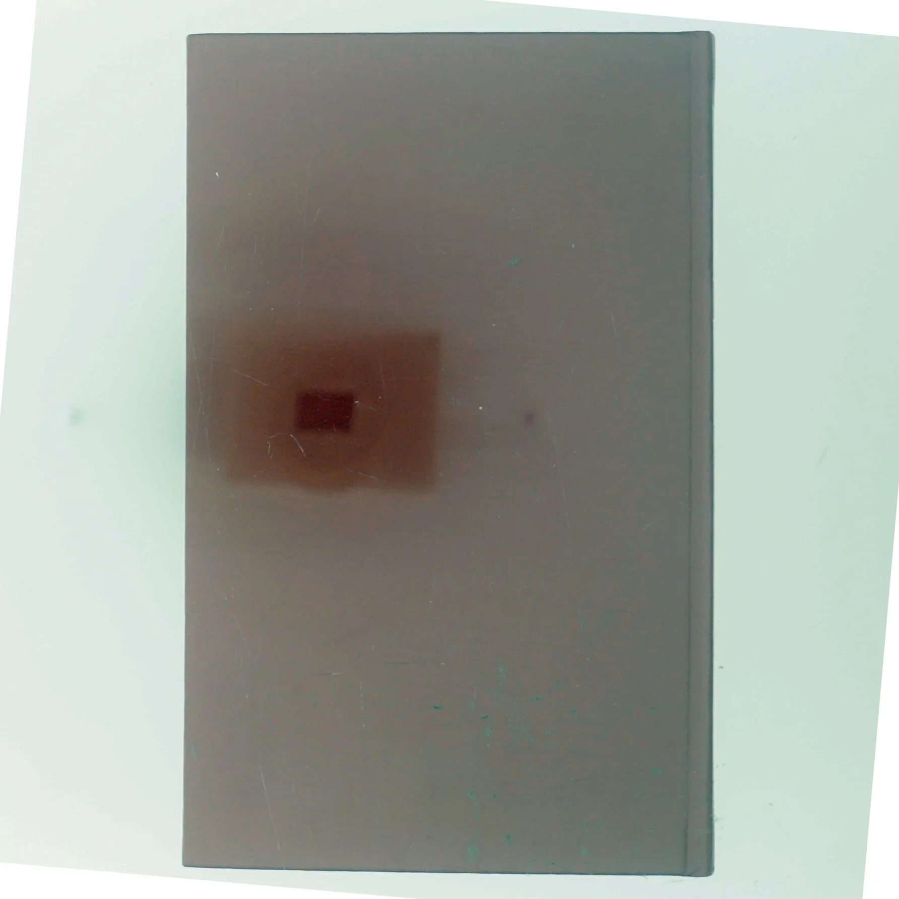 Hjernens dage af Czeslaw Milosz (Bog)