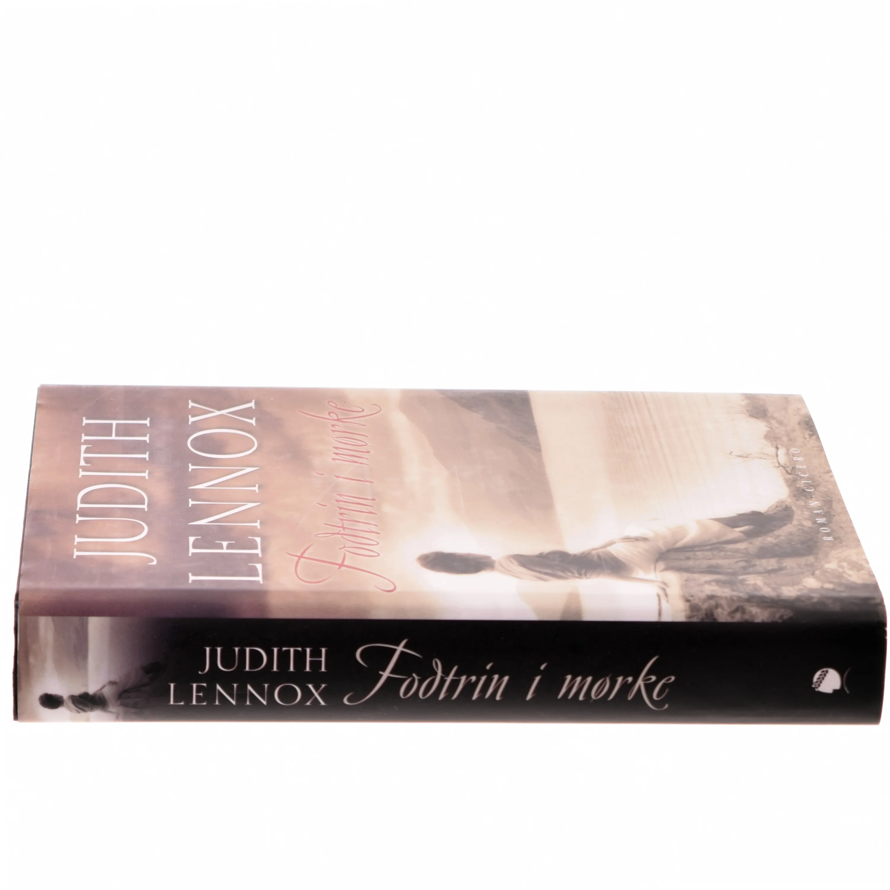 Fodtrin i mørke af Judith Lennox (Bog)