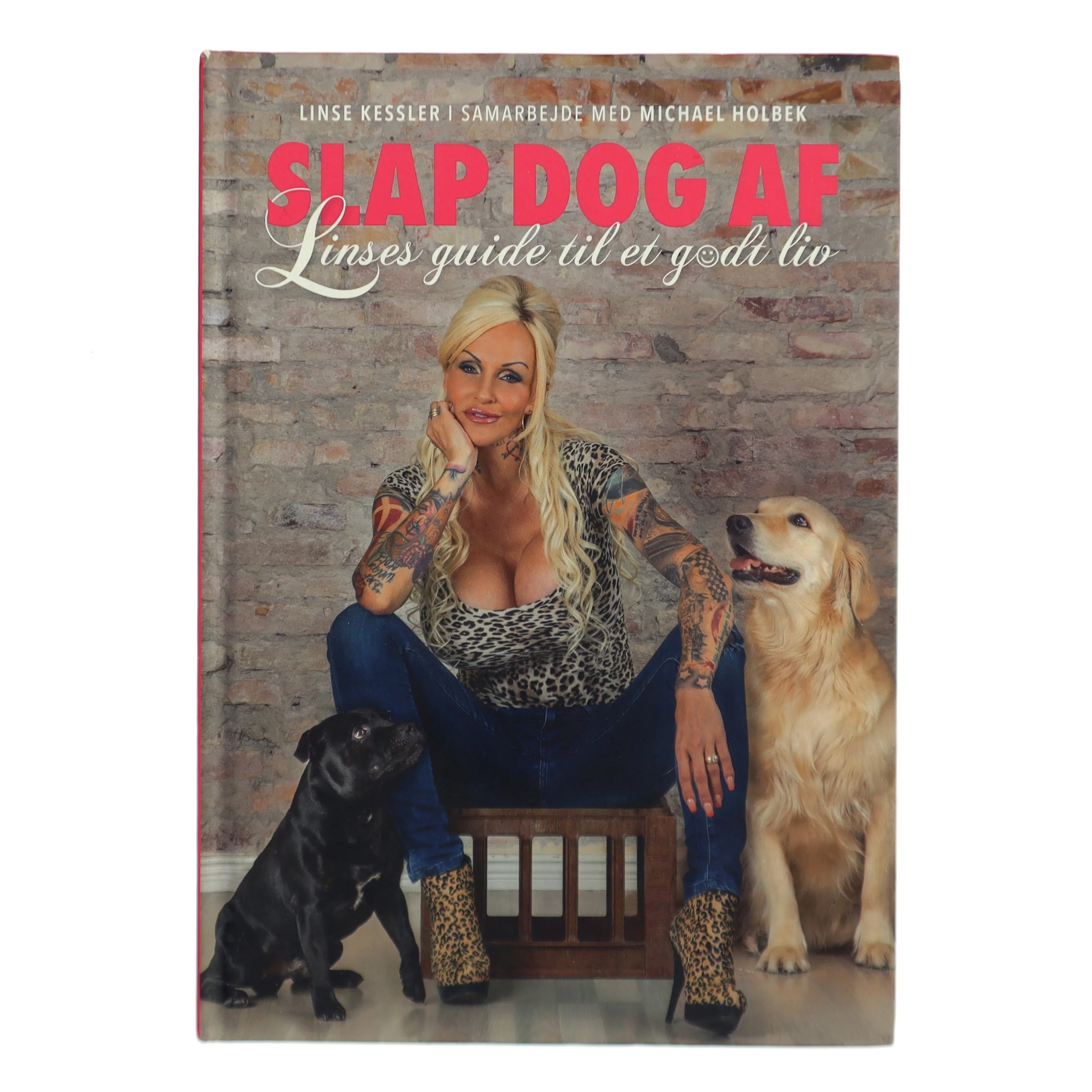 Slap dog af af Linse Kessler (Bog)