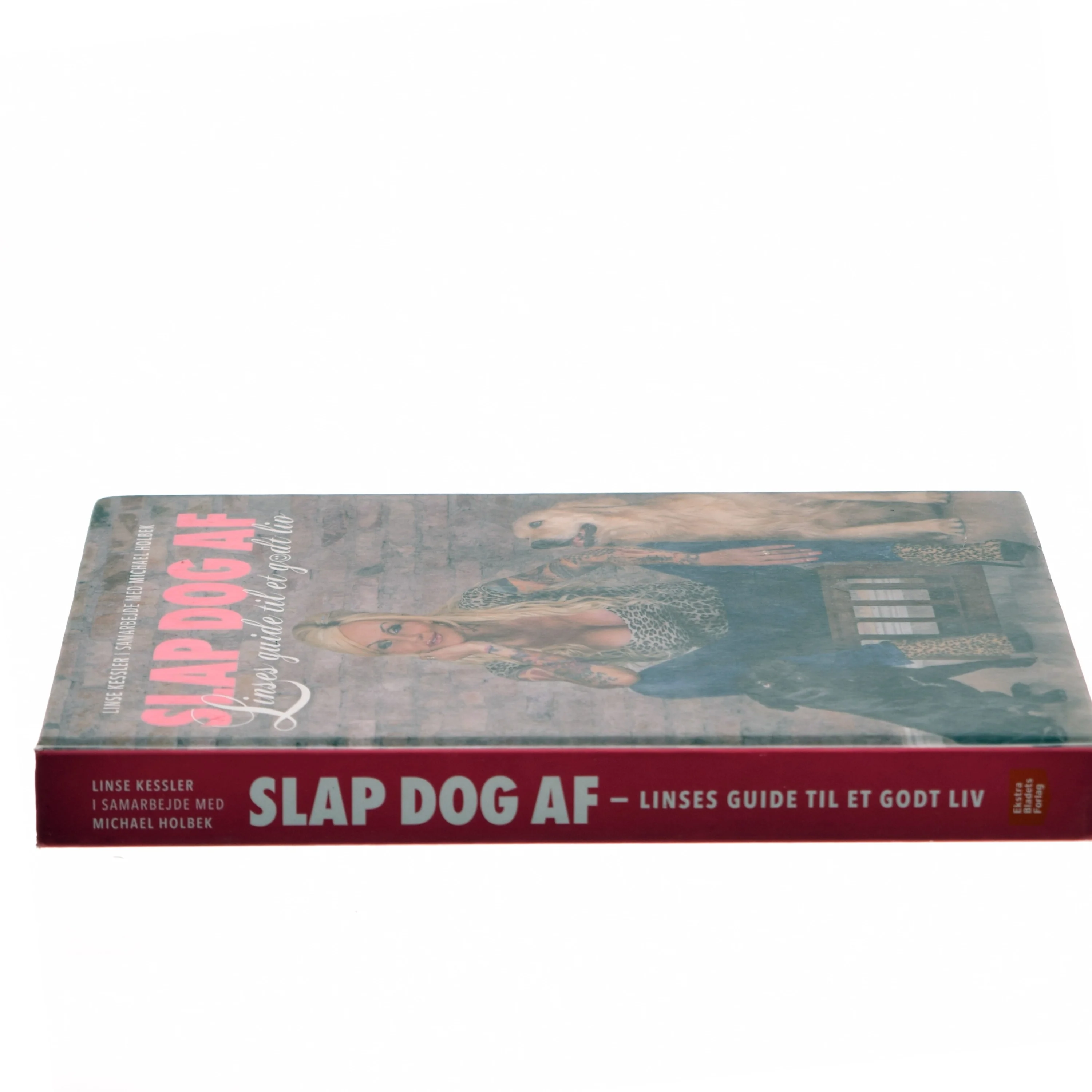 Slap dog af af Linse Kessler (Bog)