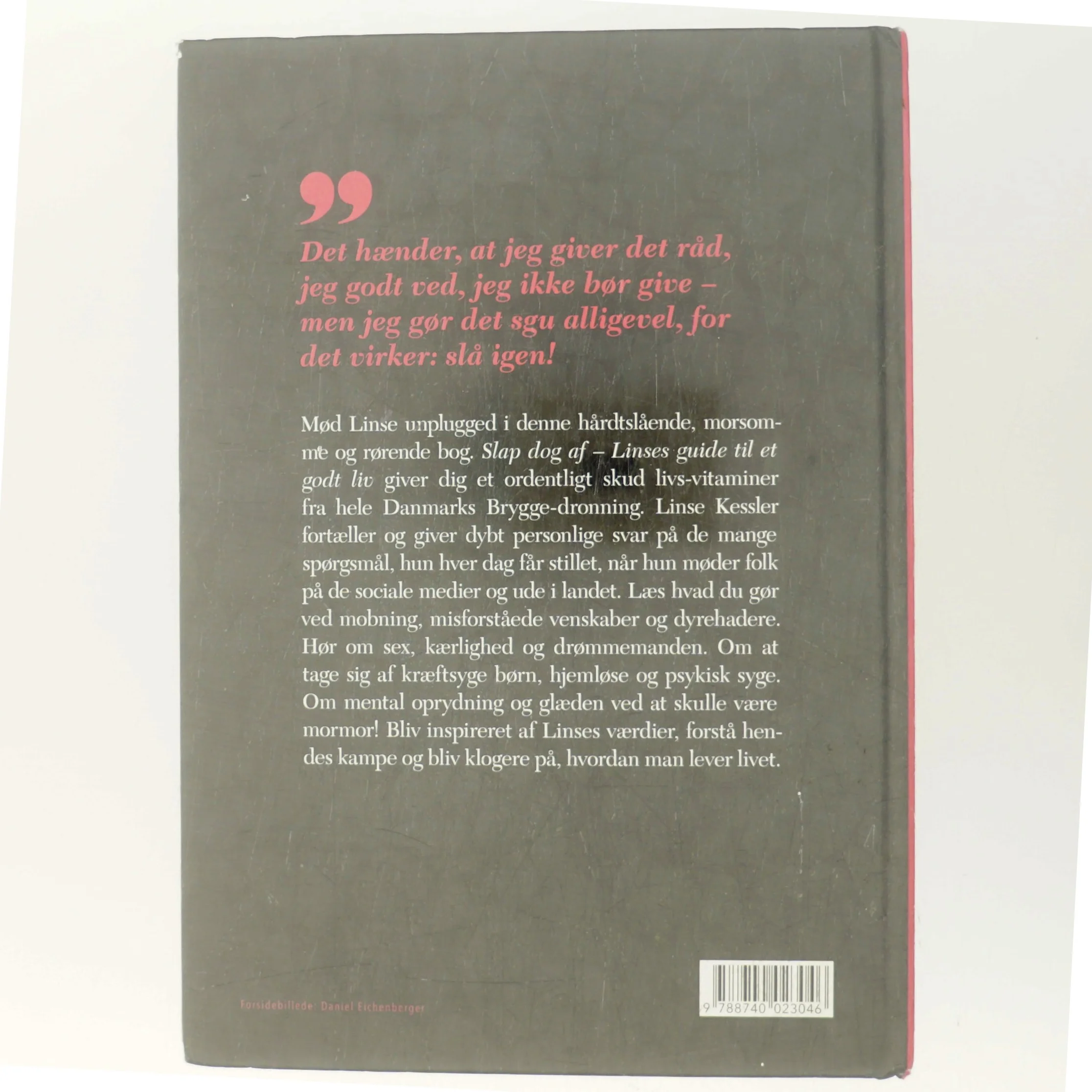 Slap dog af af Linse Kessler (Bog)