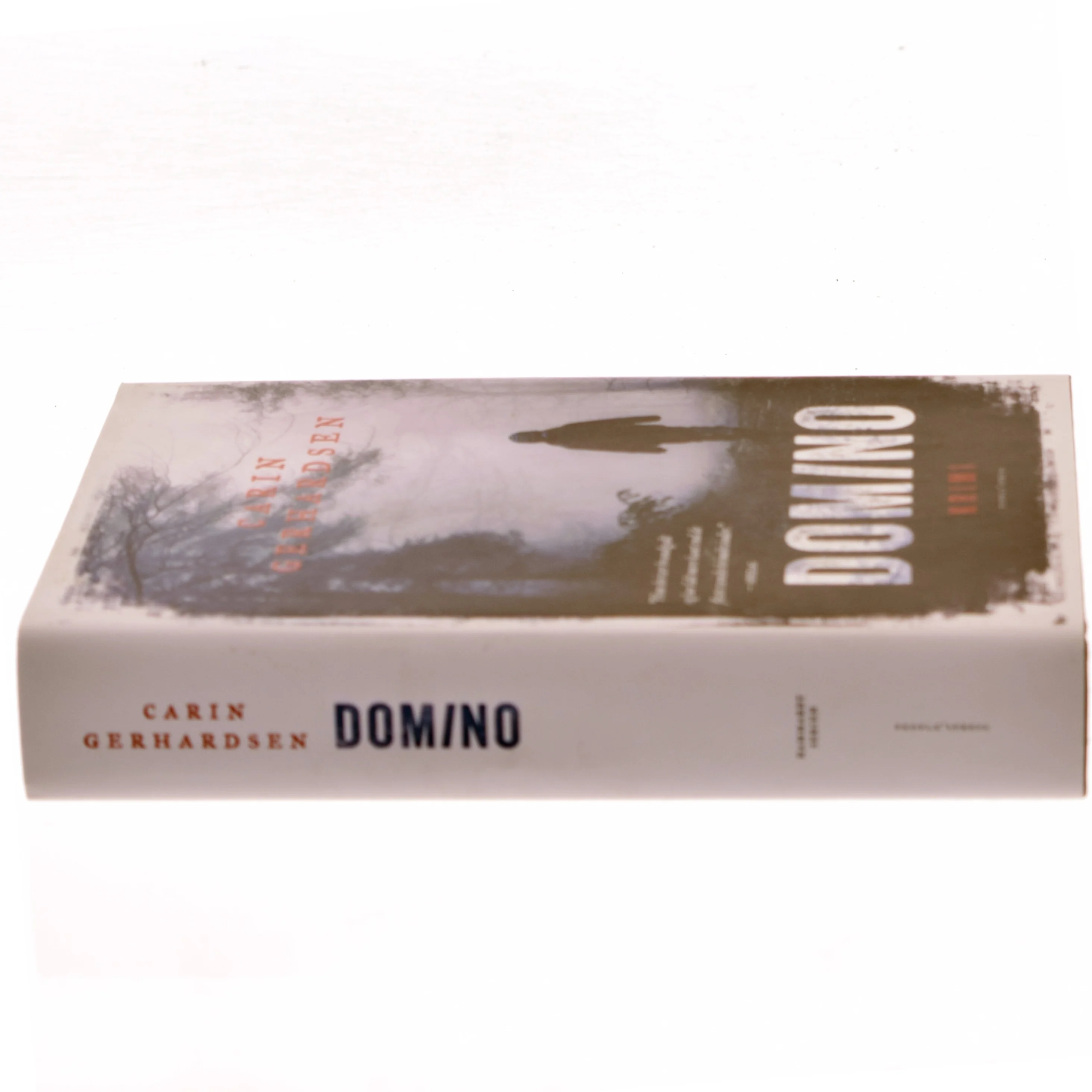 Domino : kriminalroman af Carin Gerhardsen (Bog)