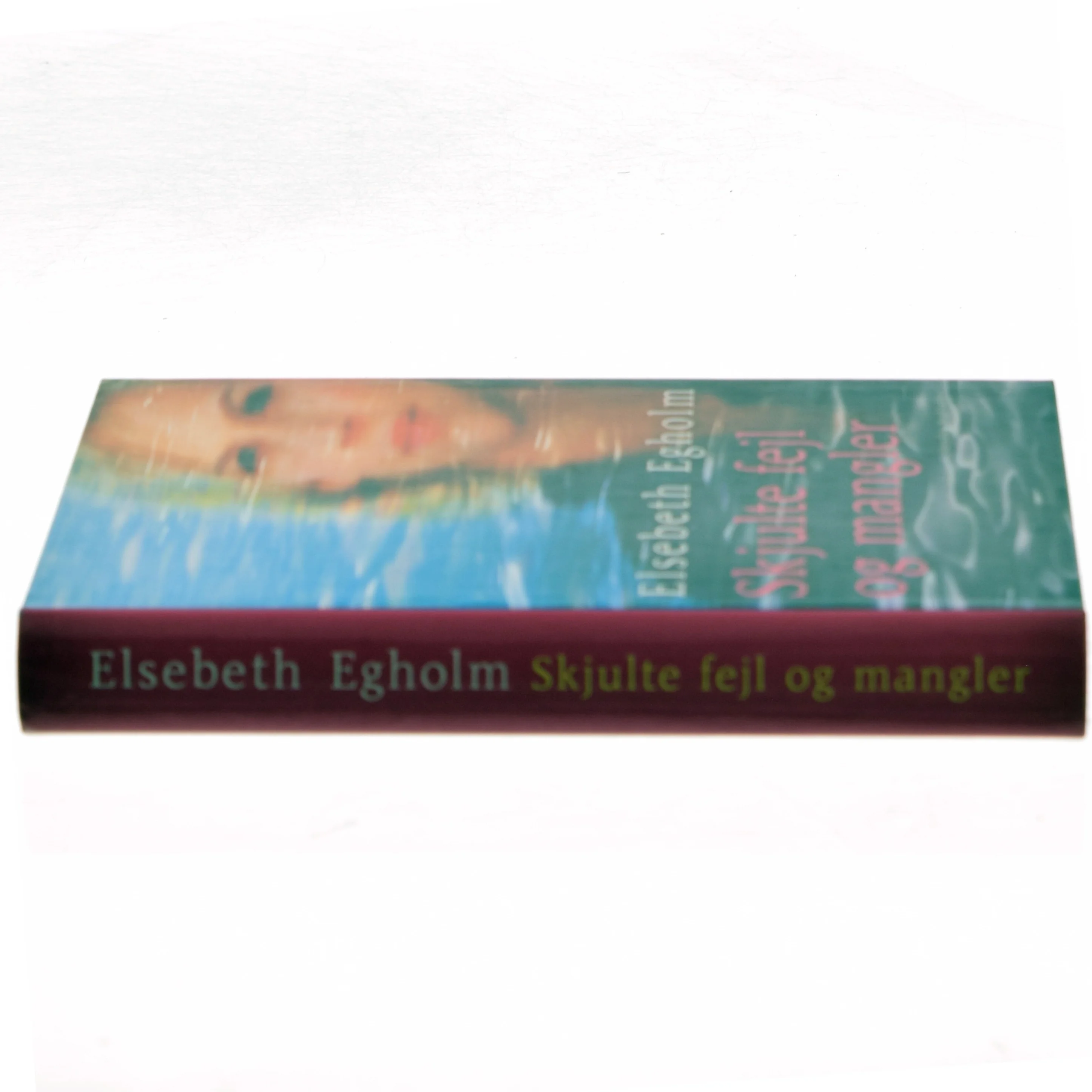 Skjulte fejl og mangler af Elsebeth Egholm (Bog)