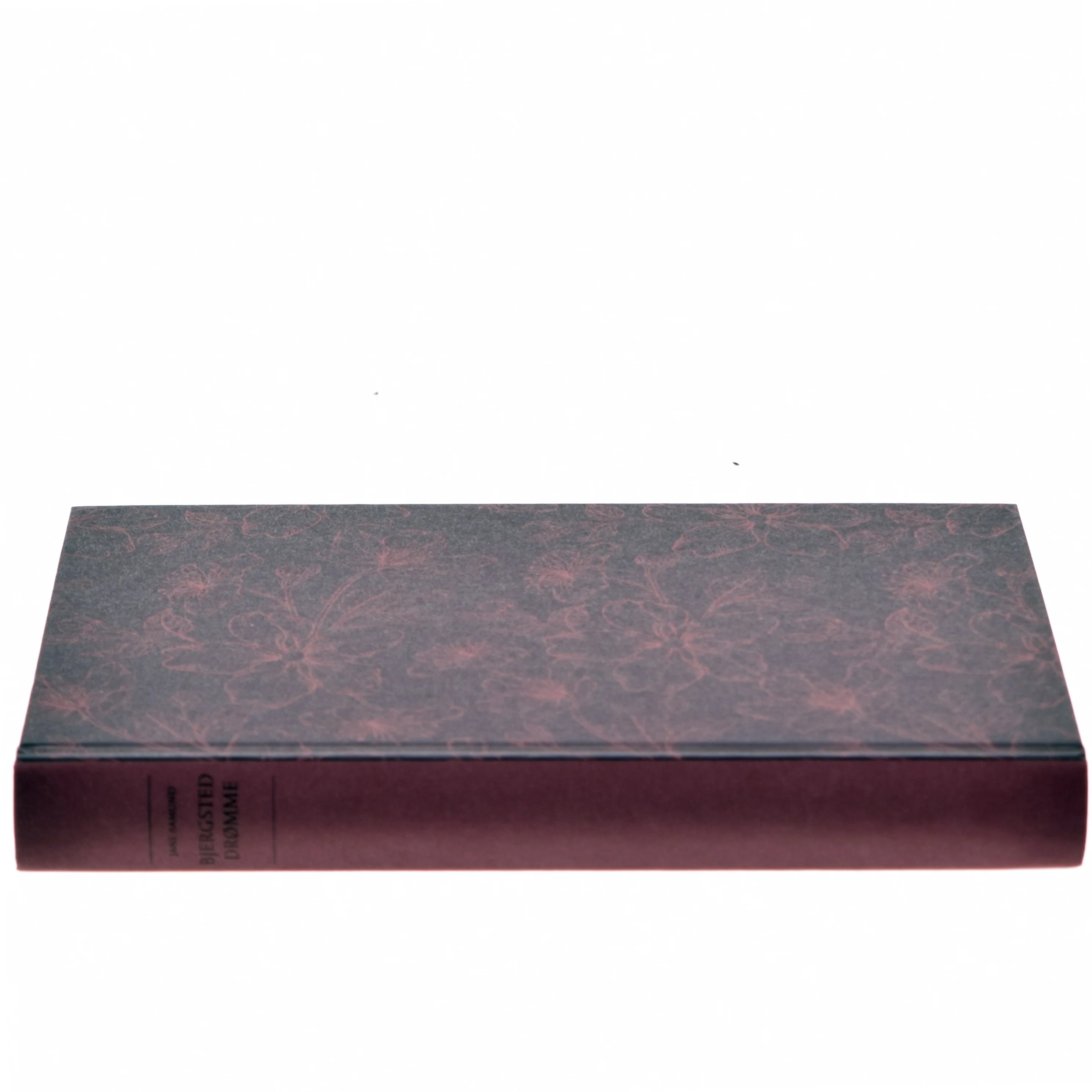 Bjergsted drømme, Bog