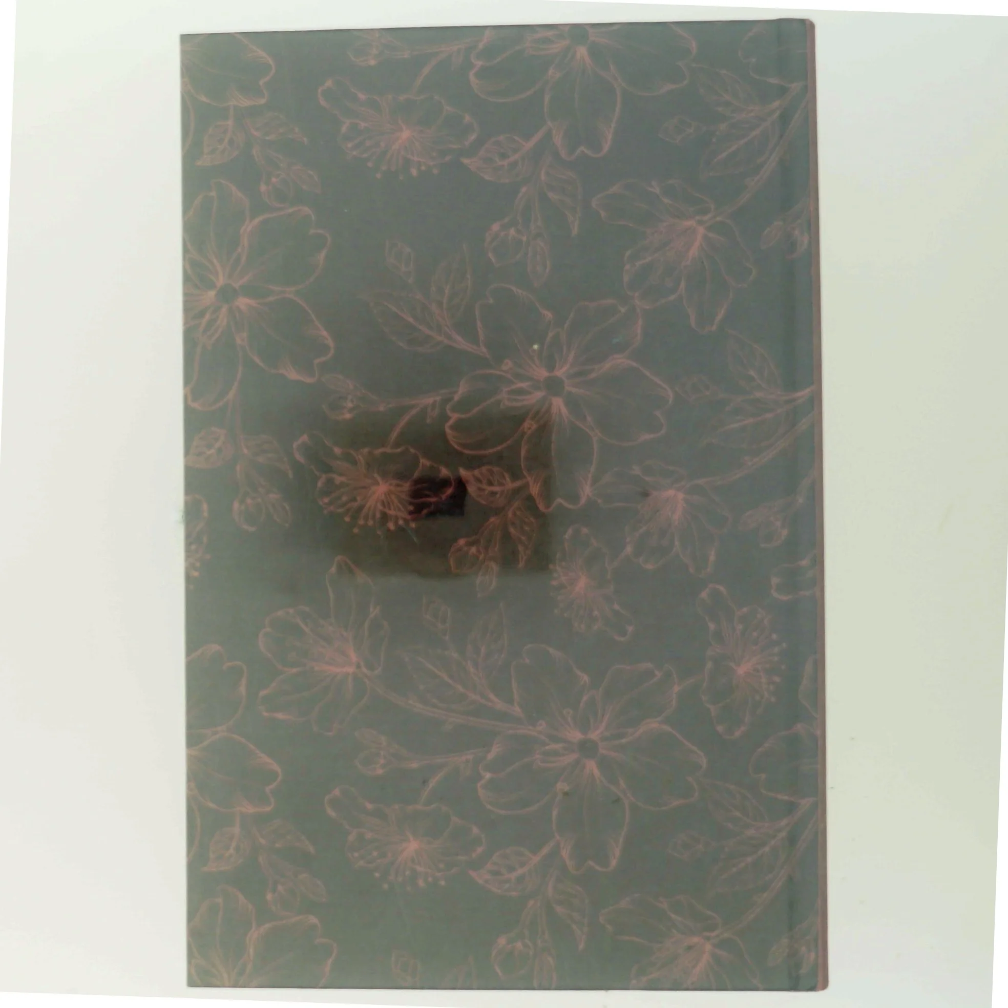 Bjergsted drømme, Bog