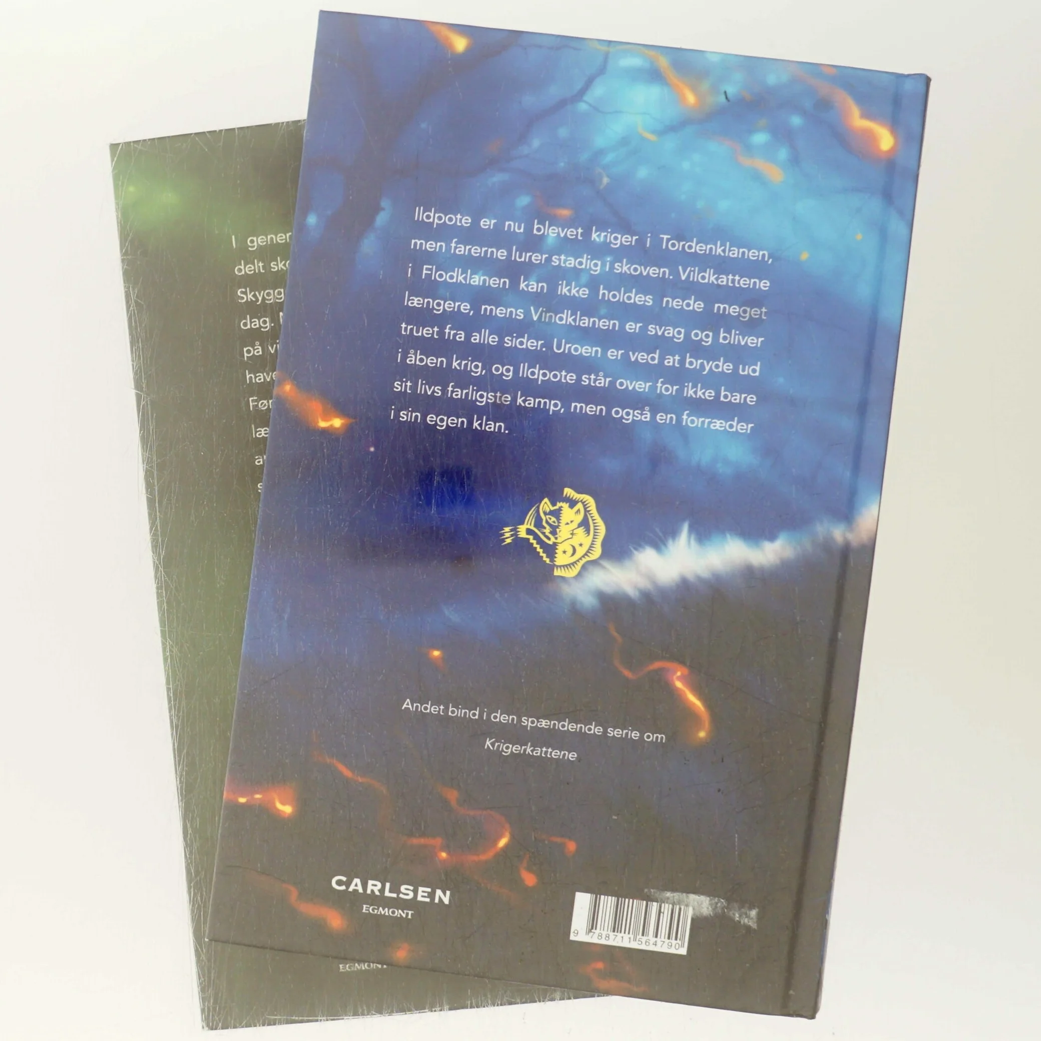 Krigerkattene. Bind 1, Ud i vildnisset af Erin Hunter (Bog)