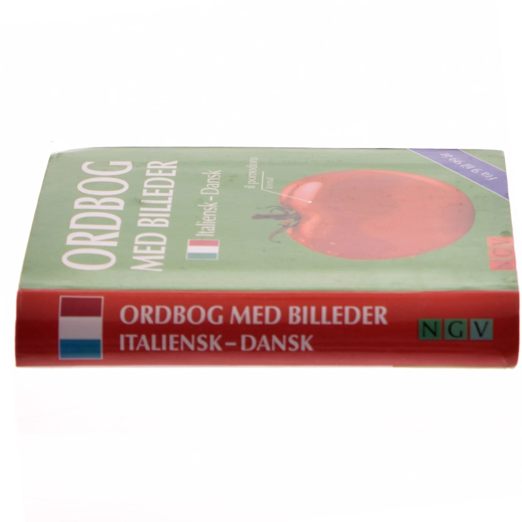 Ordbog med billeder (Bog)