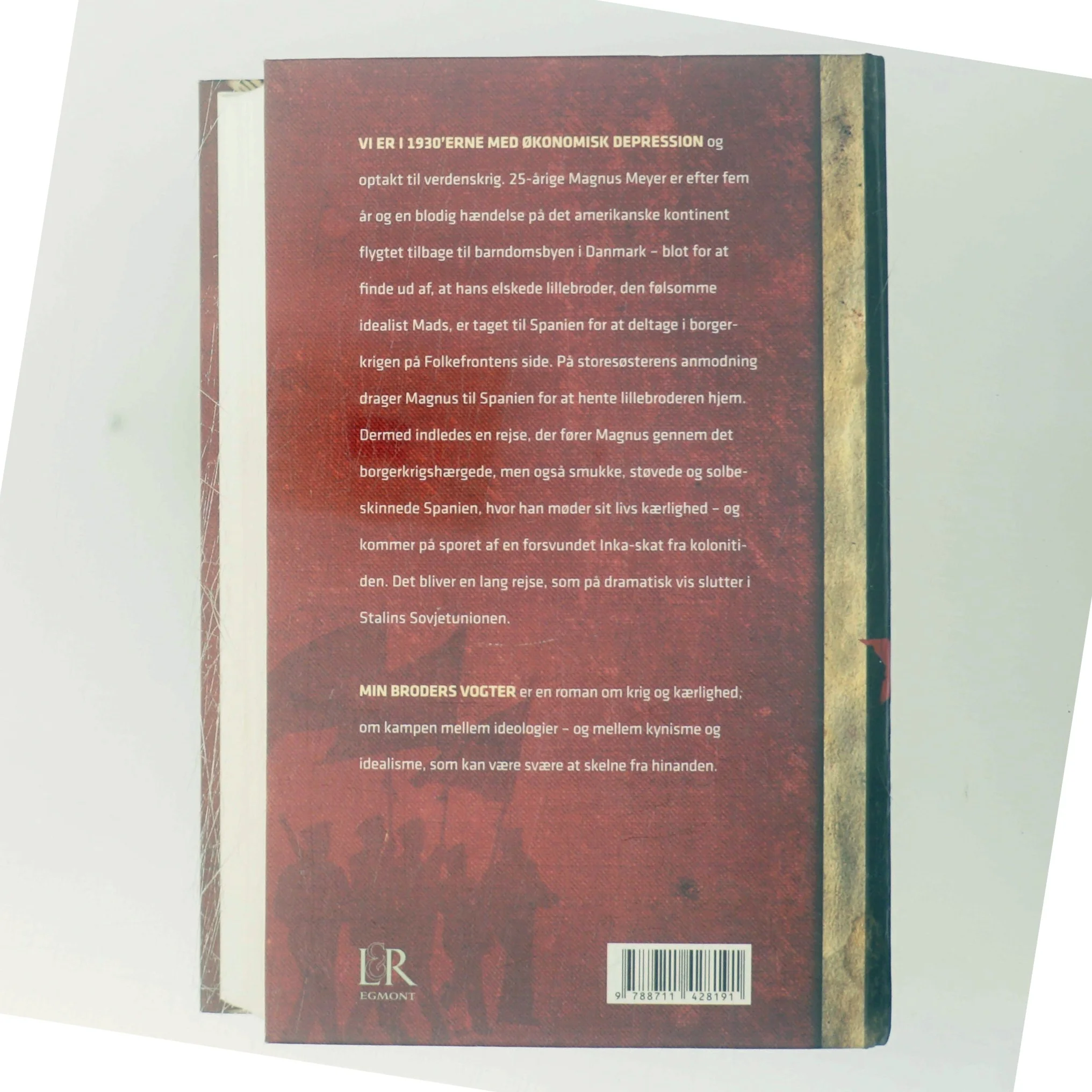 Min broders vogter : roman af Leif Davidsen (Bog)