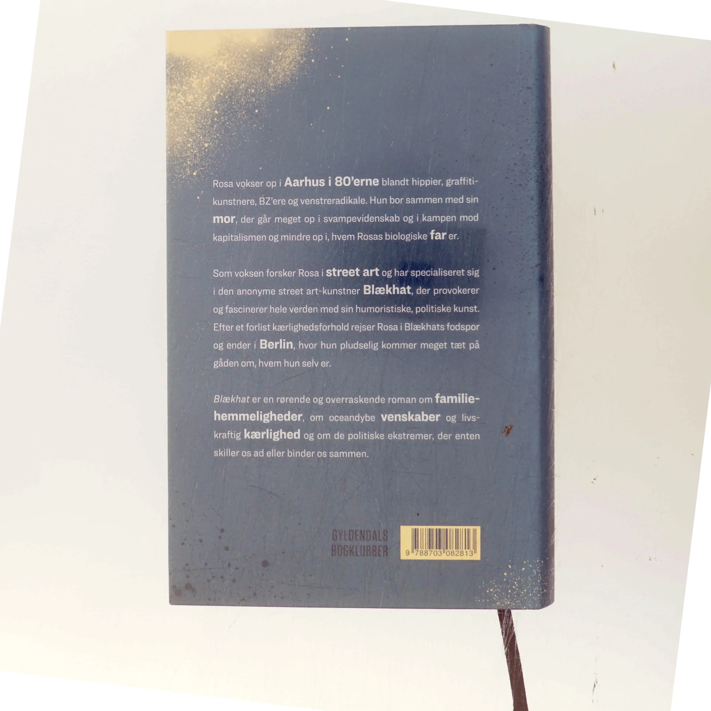 Blækhat : roman af Sissel-Jo Gazan (Bog)