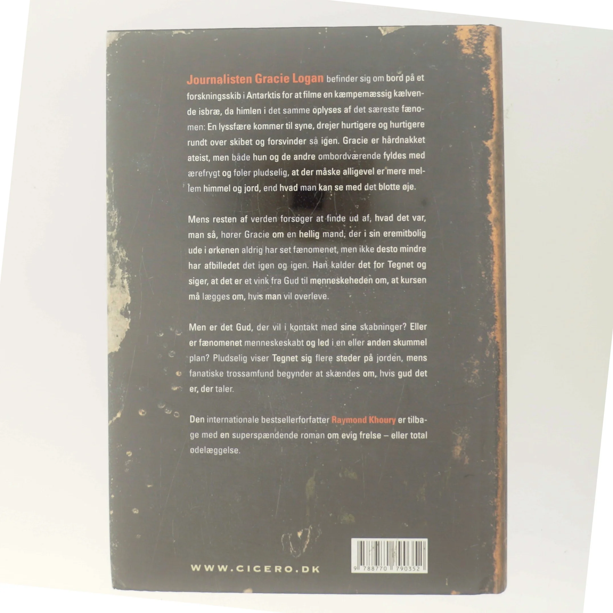 Pigerne i Villette af Ingrid Hedström (Bog)