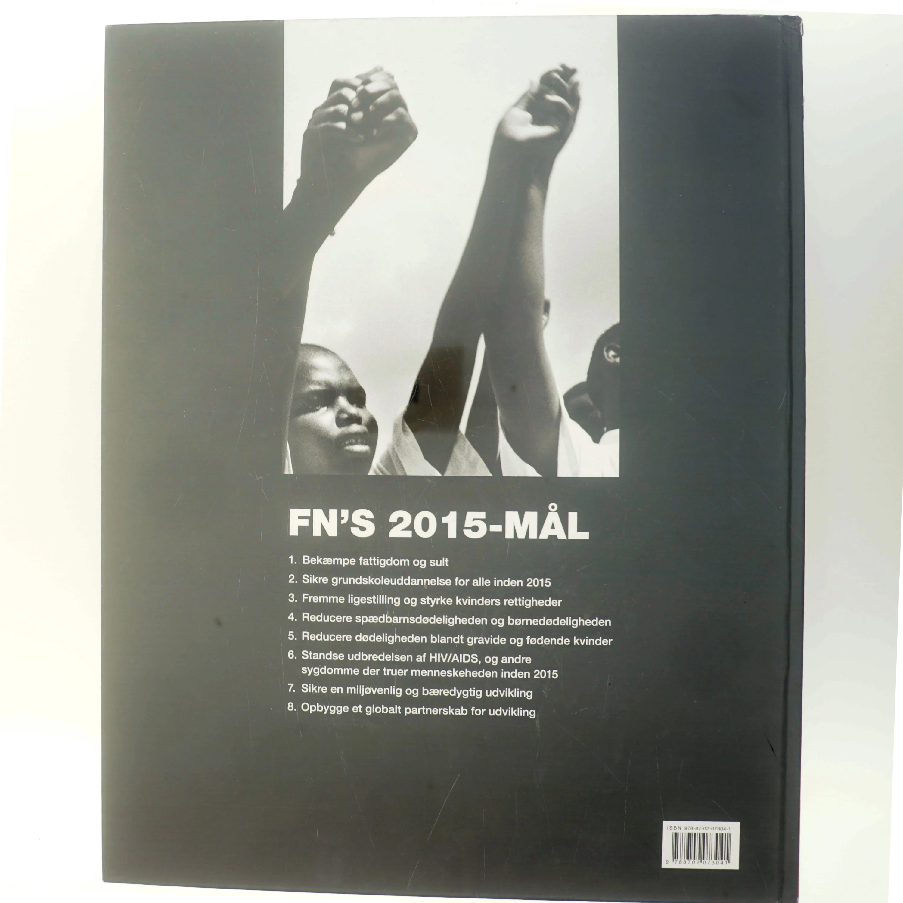 Farvel til en sort/hvid verden : en bog om FN's 2015-mål (Bog)