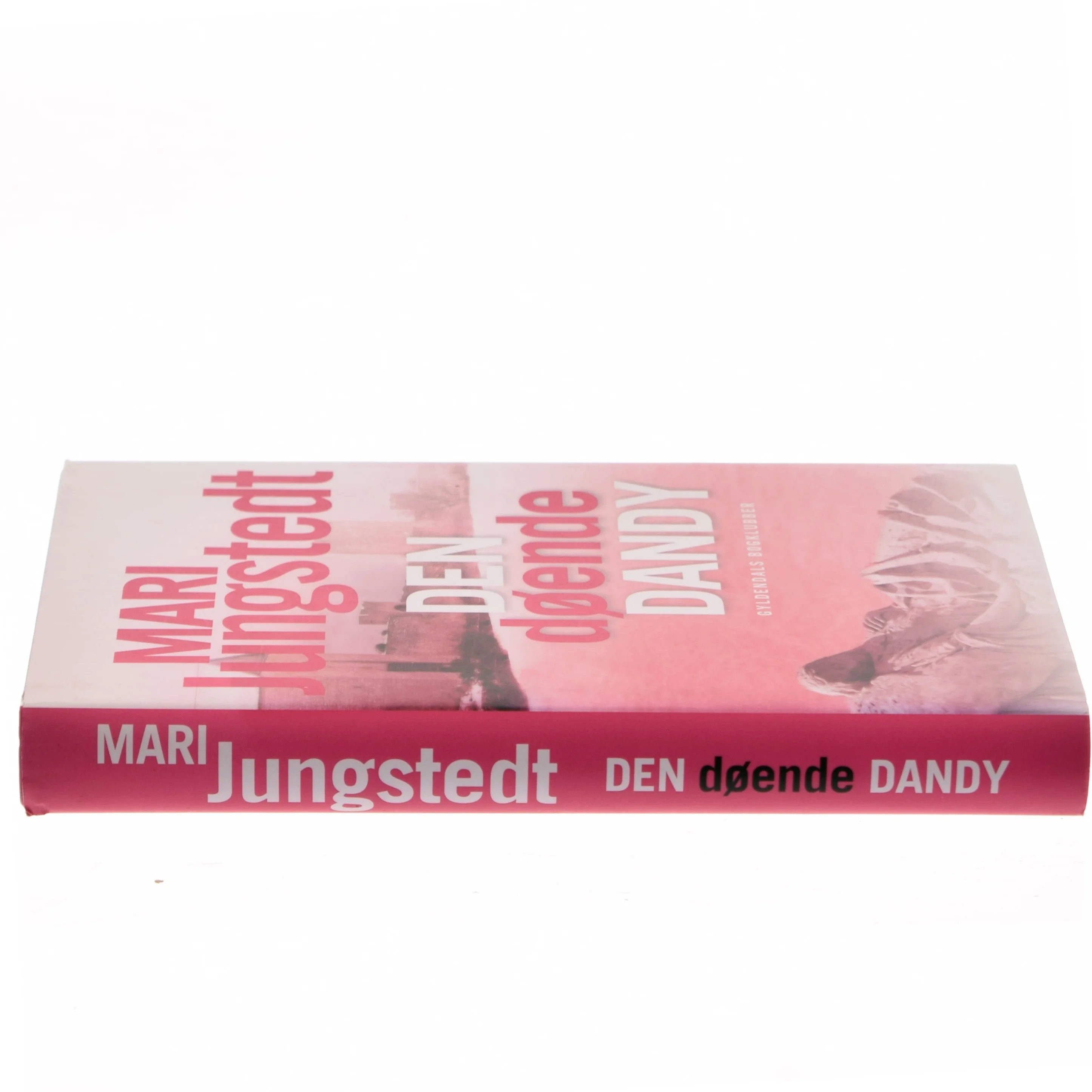 Den døende dandy : kriminalroman af Mari Jungstedt (Bog)