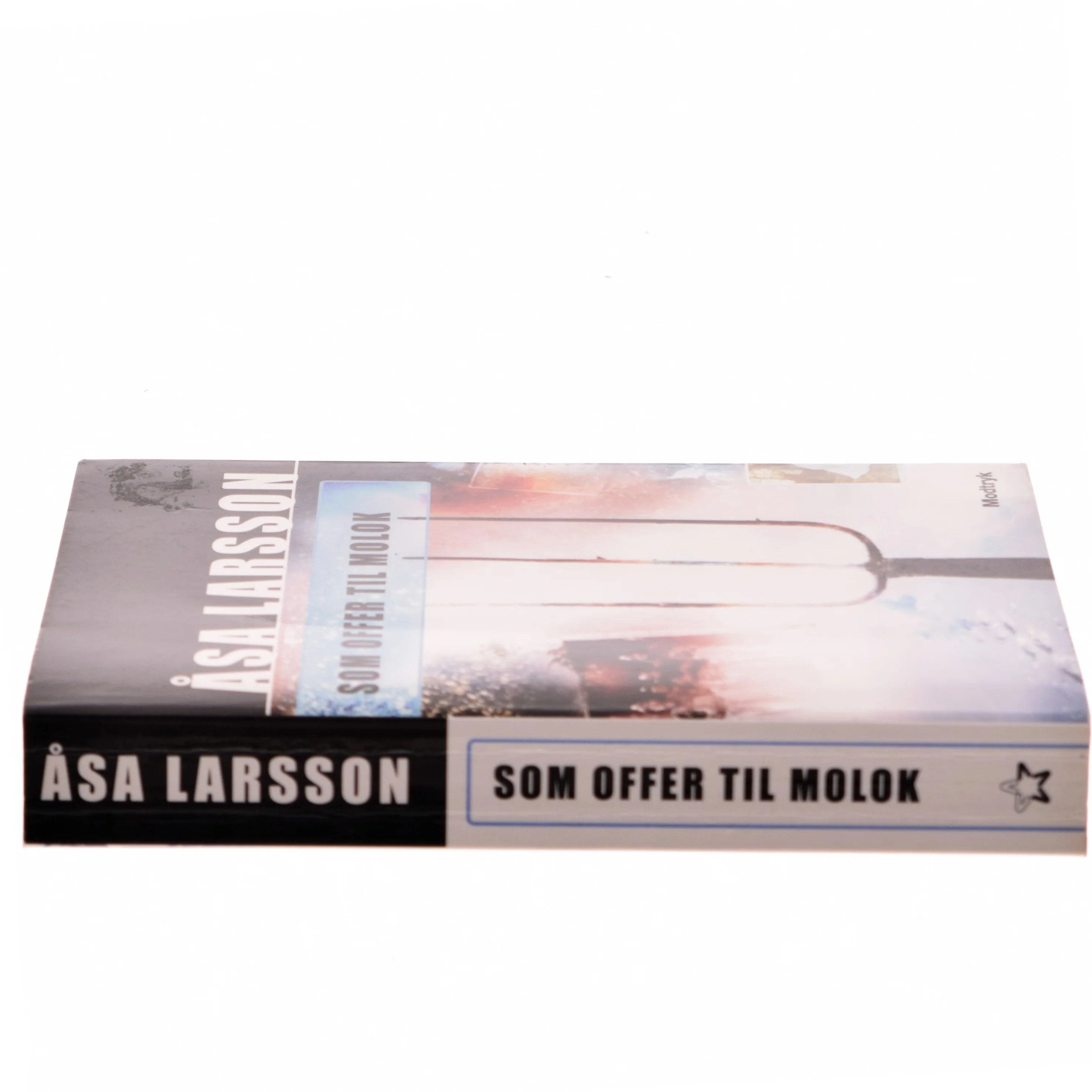 Som Offer Til Molok af Åsa Larsson (Bog)