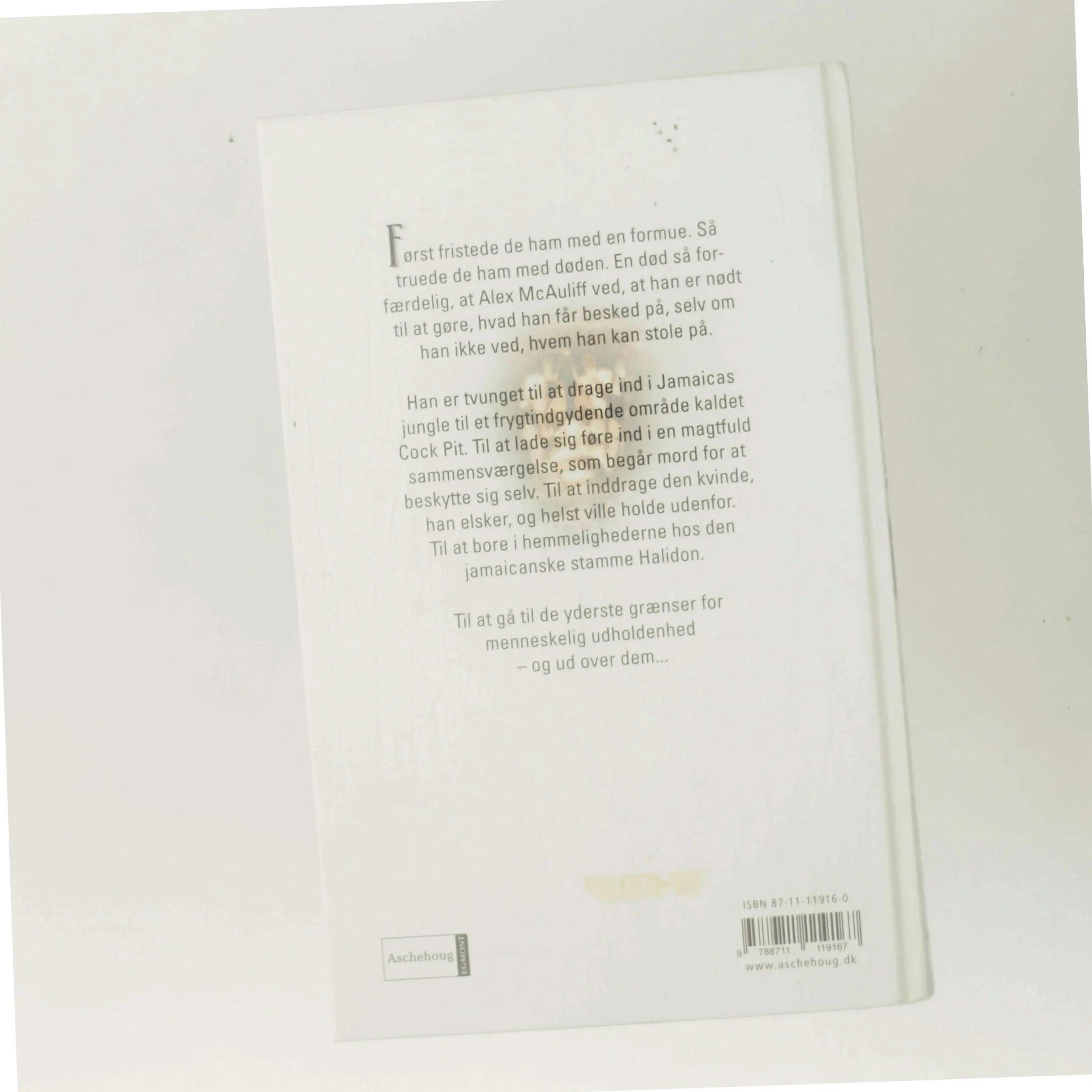 Halidons skrig af Robert Ludlum (Bog)