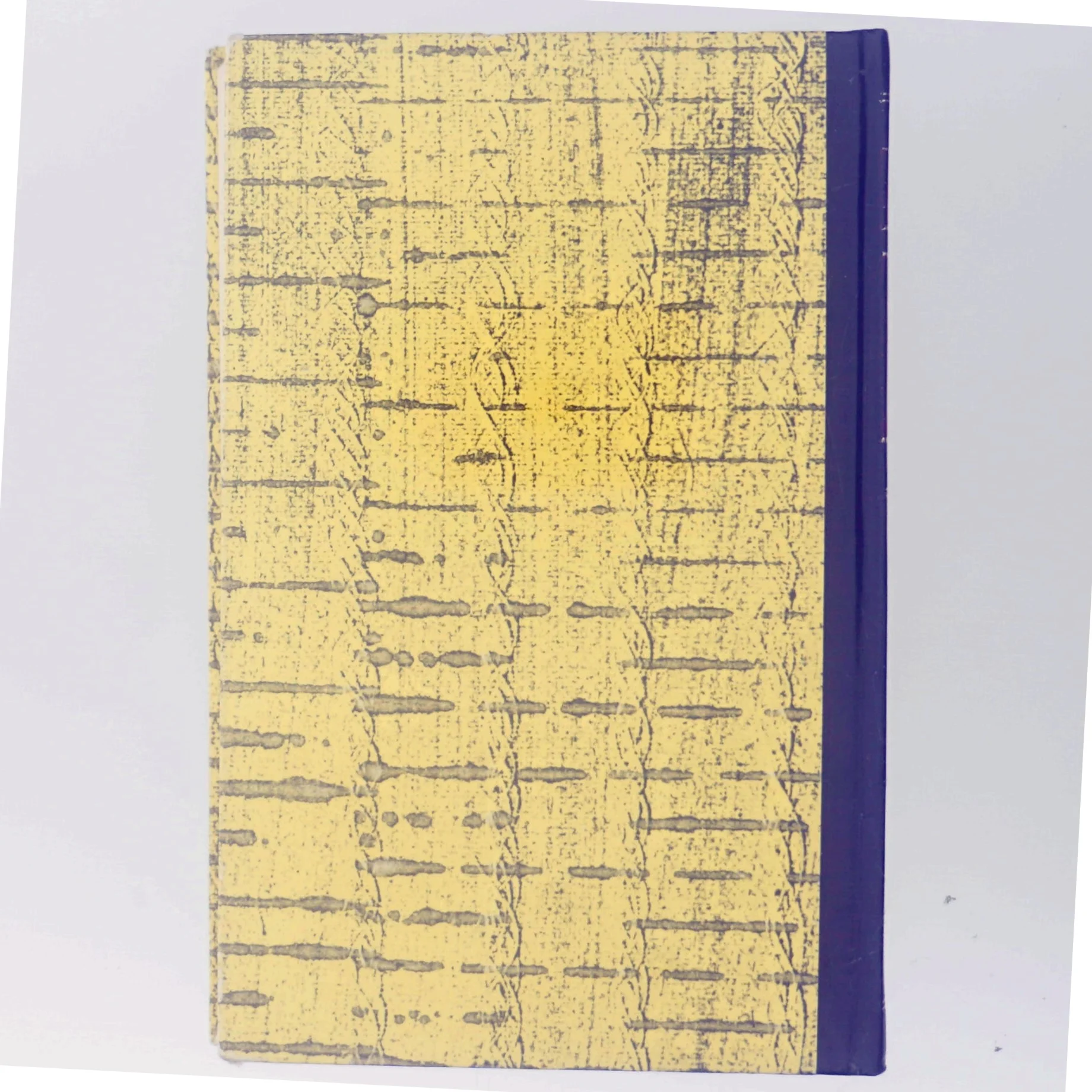 En kort vid tid var Hon Pesten af Else Fischer (Bog)