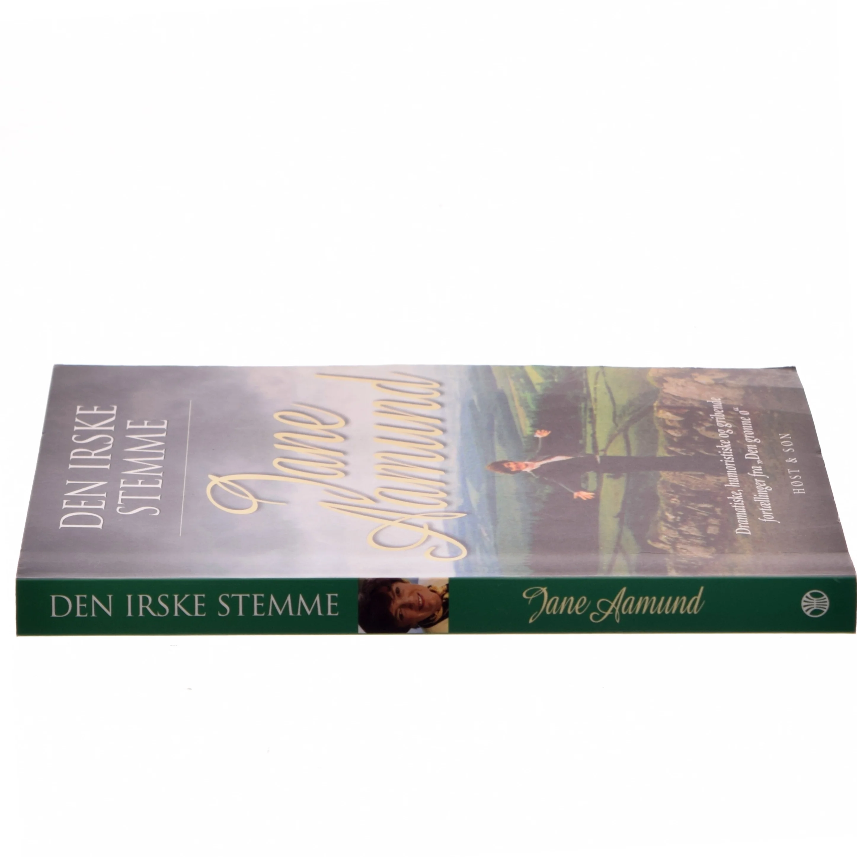 Den irske stemme : fortællinger af Jane Aamund (Bog)
