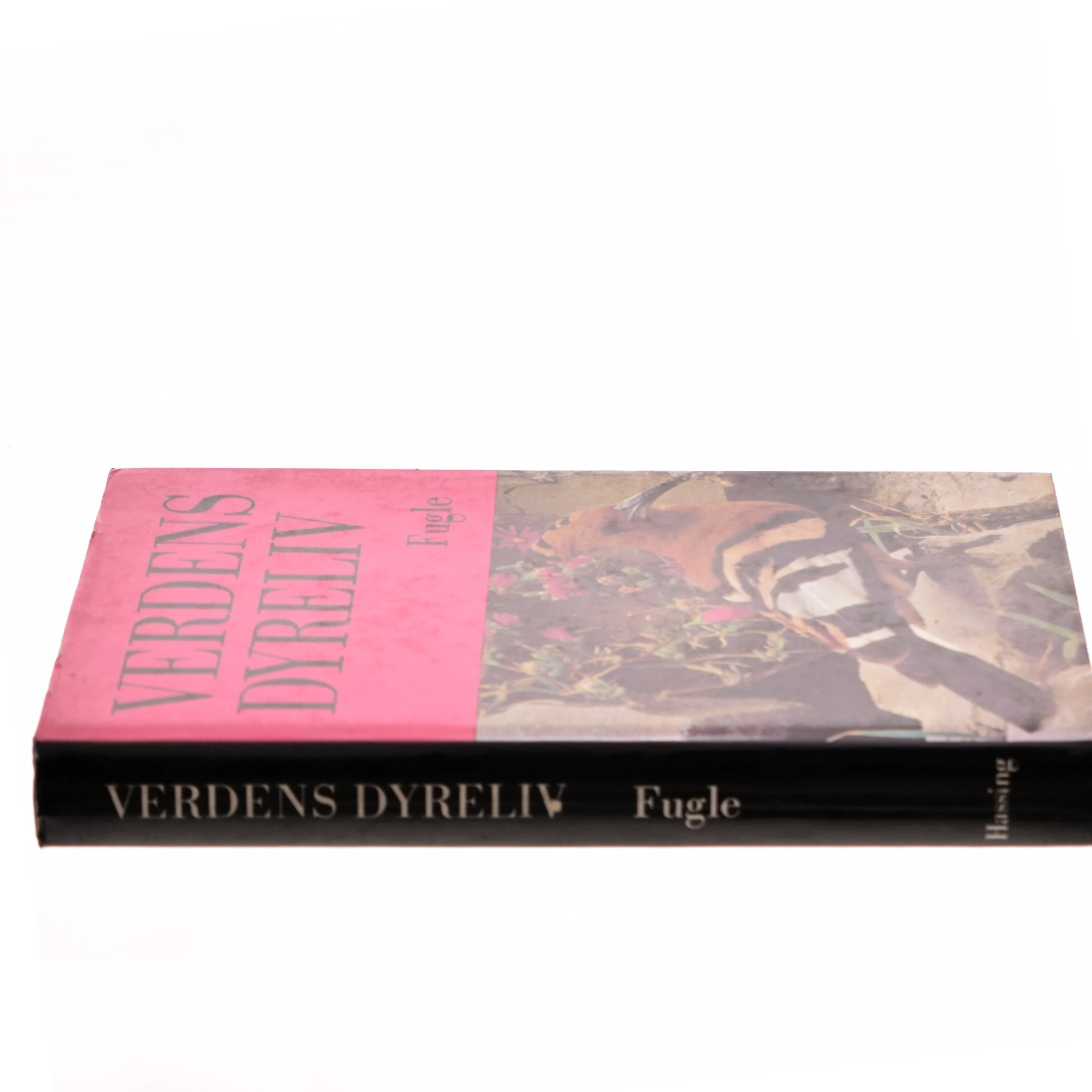 Verdens Dyreliv - Fugle af <Bog ikke specifikation> (Bog)