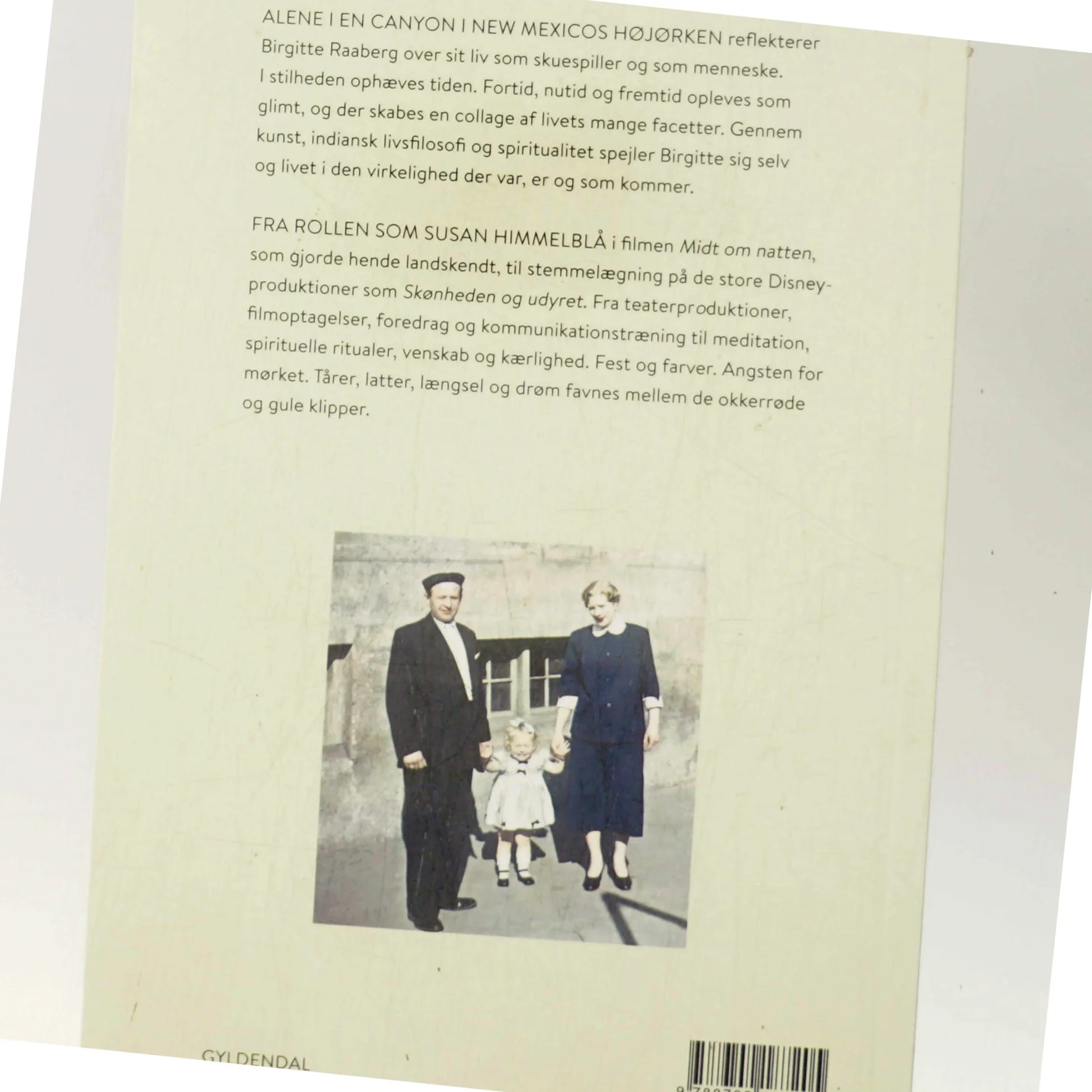 Det du favner : en livsrejse af Birgitte Raaberg (Bog)