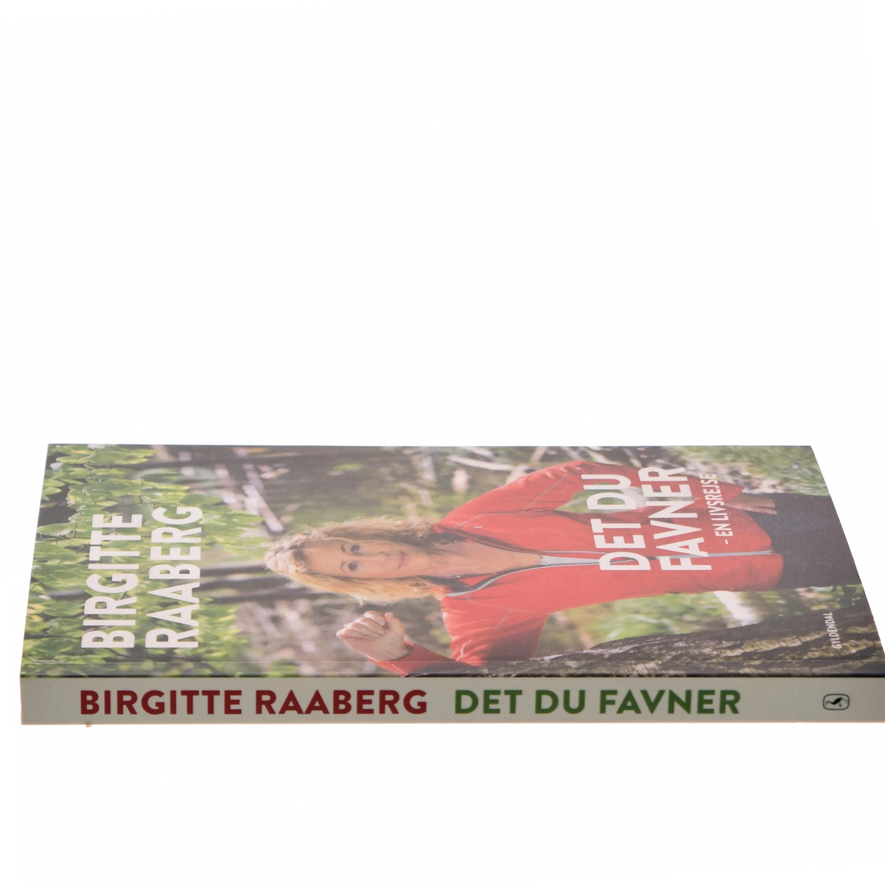 Det du favner : en livsrejse af Birgitte Raaberg (Bog)