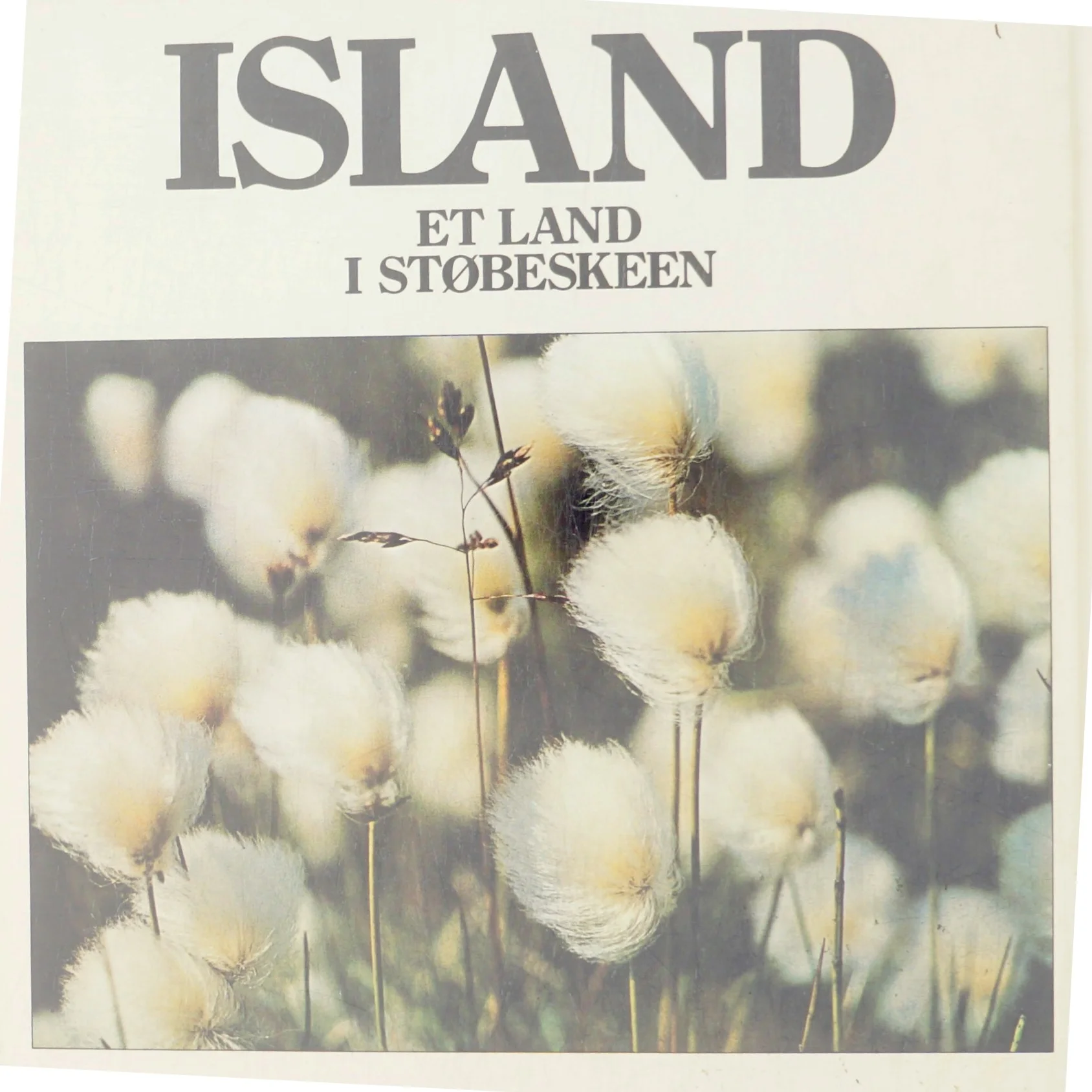 ISLAND - Atlantens Forunderlige Ø (Bog)