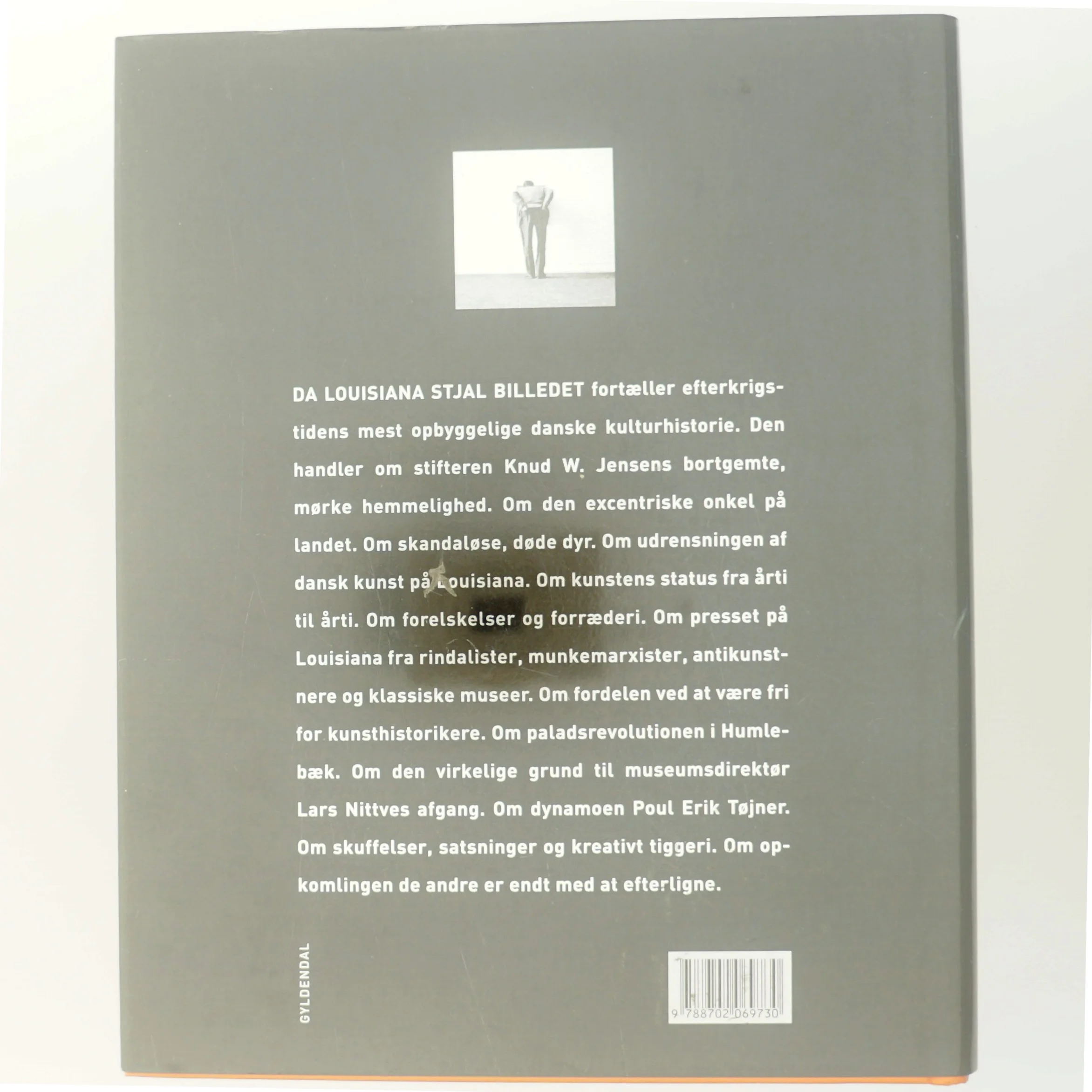 Da Louisiana Stjal Billedet - Pernille Stensgaard fra Gyldendal