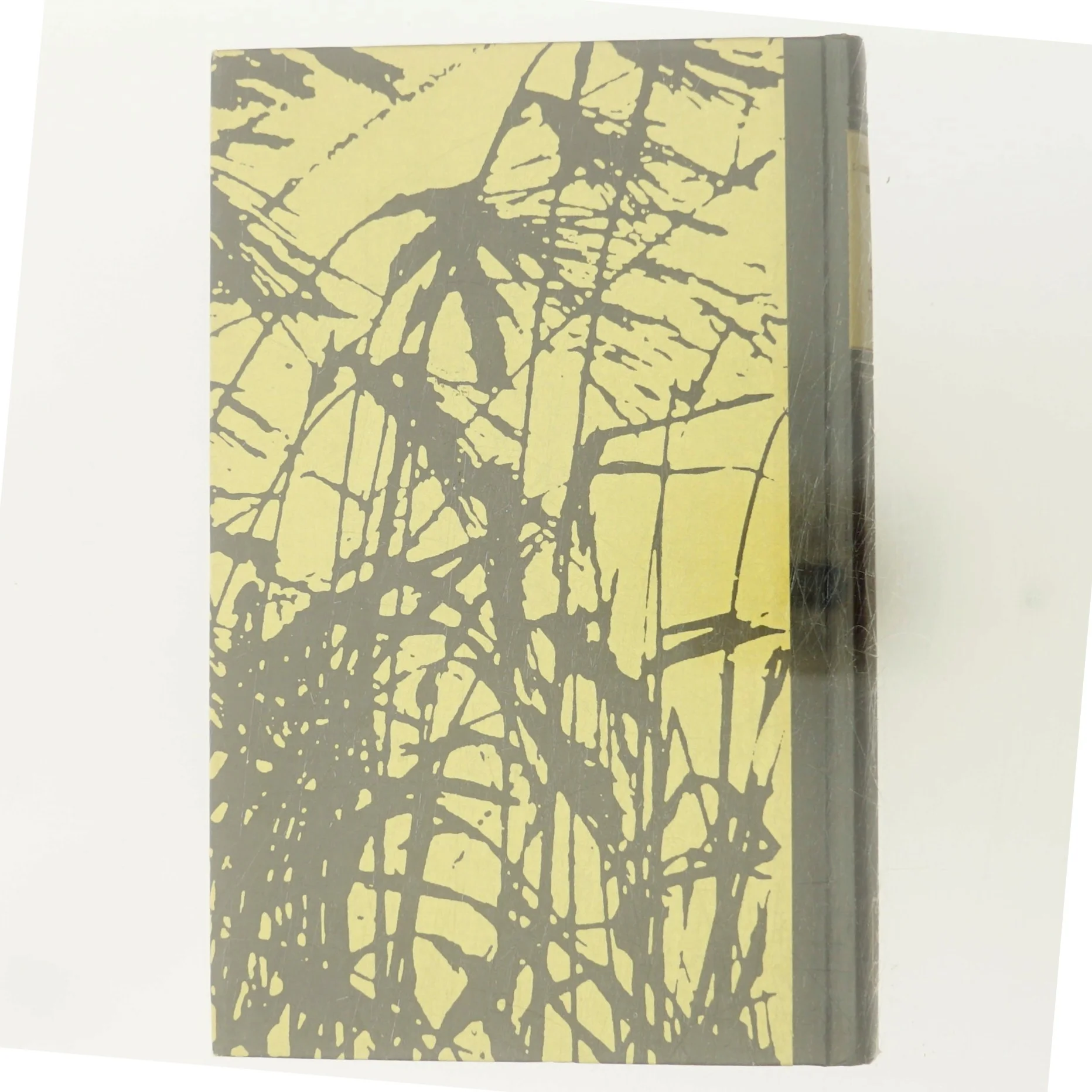 <Ingen titel synlig> af <Bog med ukendt forfatter> (Bog)