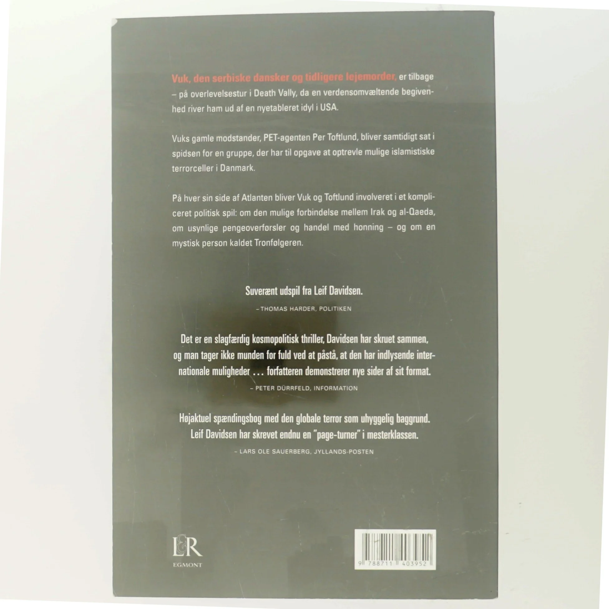 Fjenden i spejlet : roman af Leif Davidsen (Bog)