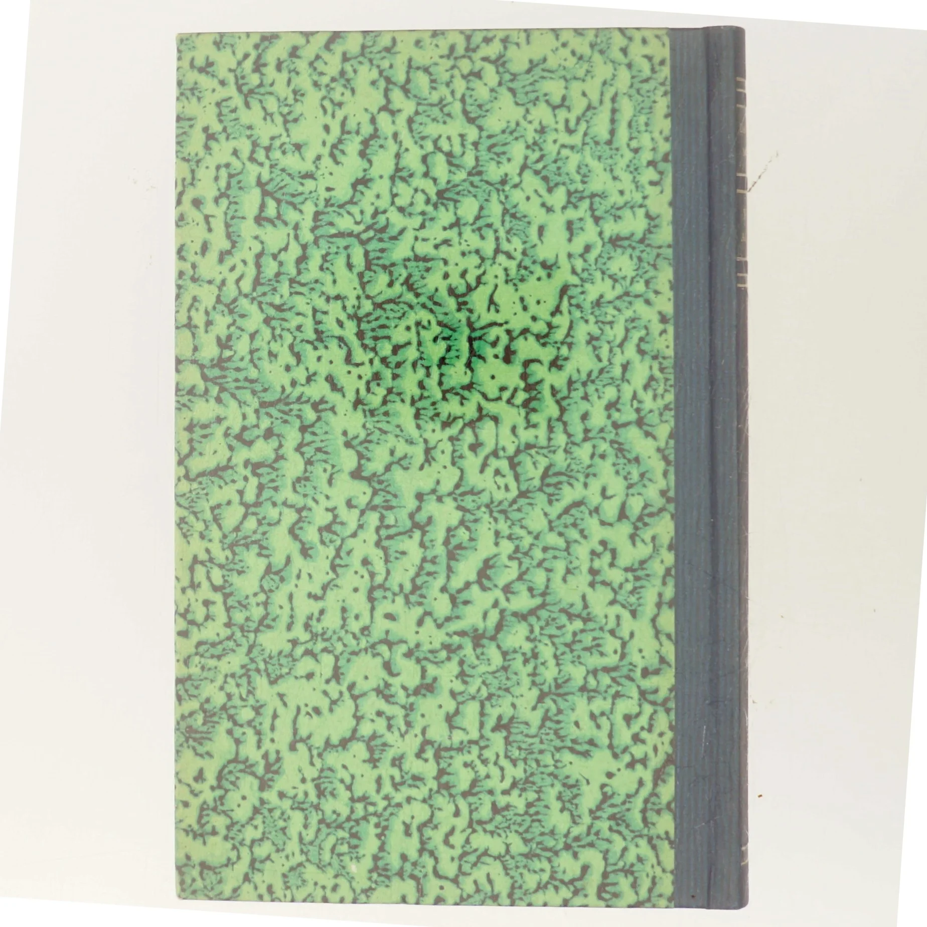 Vi giver aldrig op af Barner & du Maurier (Bog)