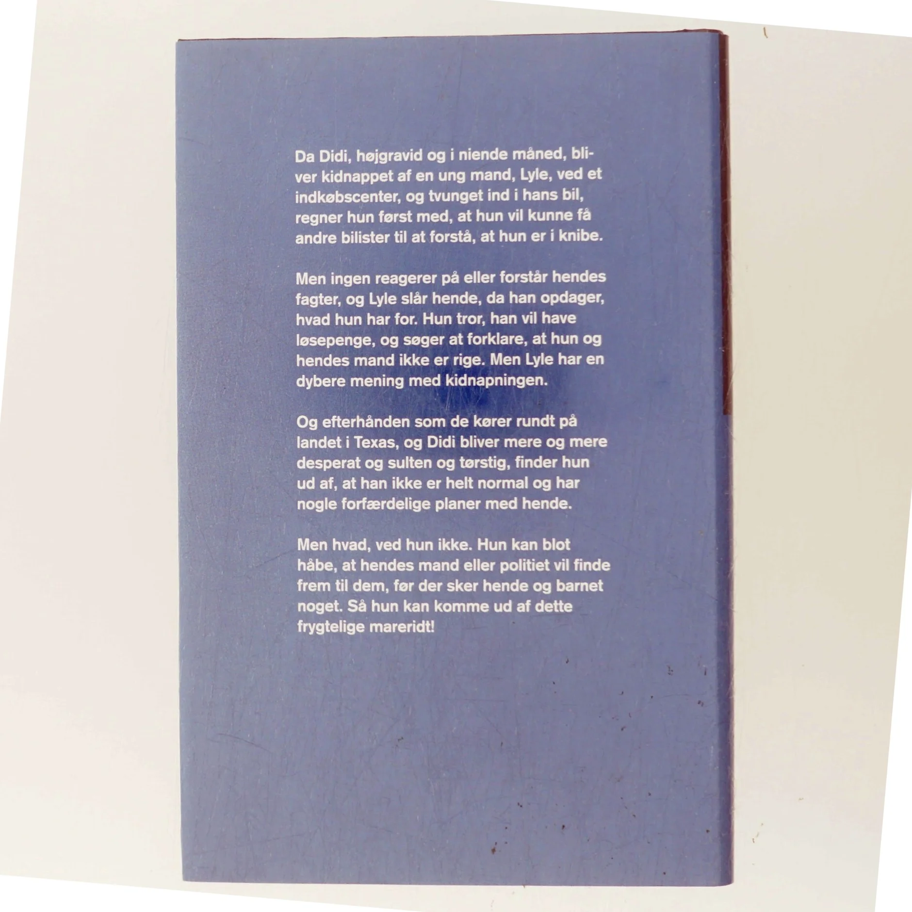 Elleve Timer af Paullina Simons (Bog)