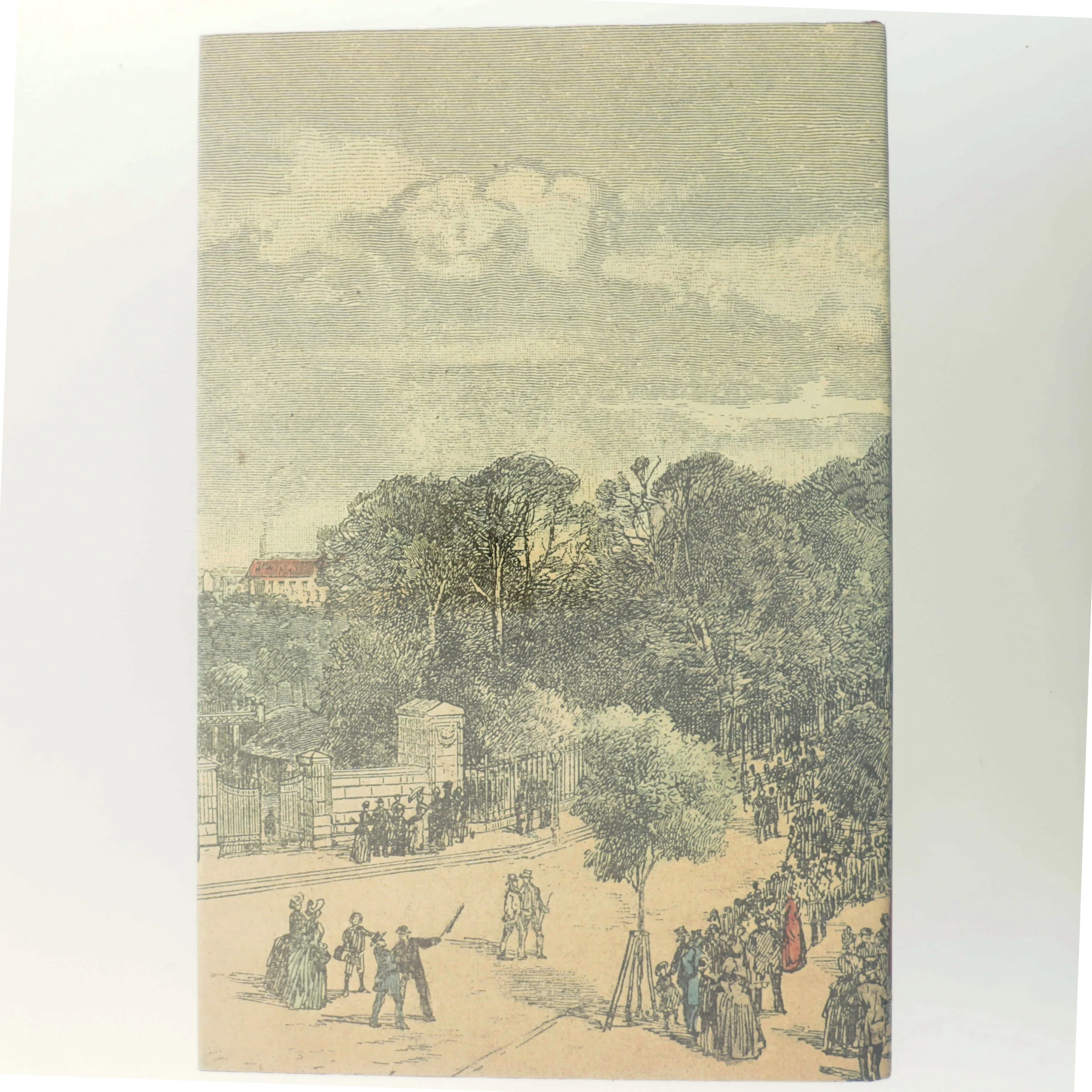 Under de røde faner (Bog)