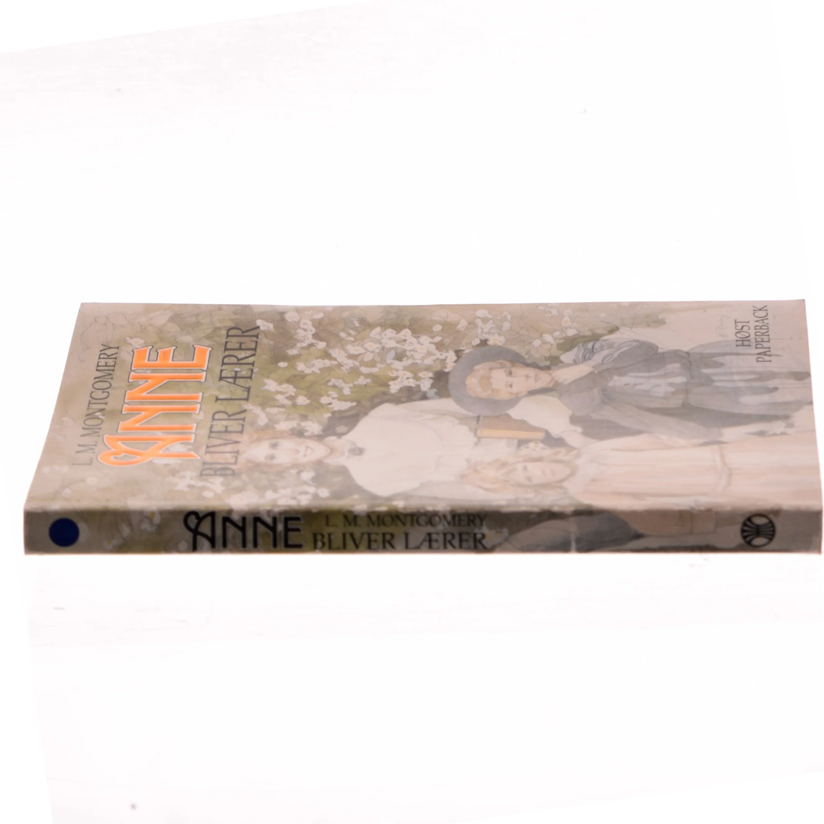 Anne Bliver Lærer af L. M. Montgomery (Bog)