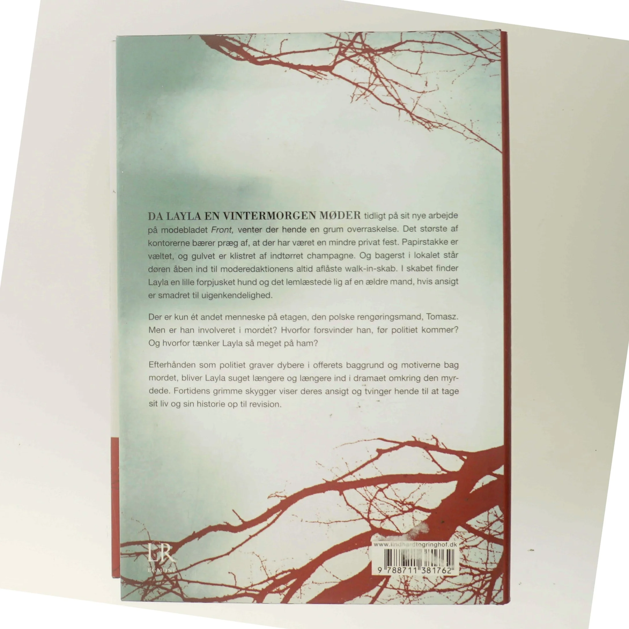 Frostgrader af Birgitte Bartholdy (Bog)