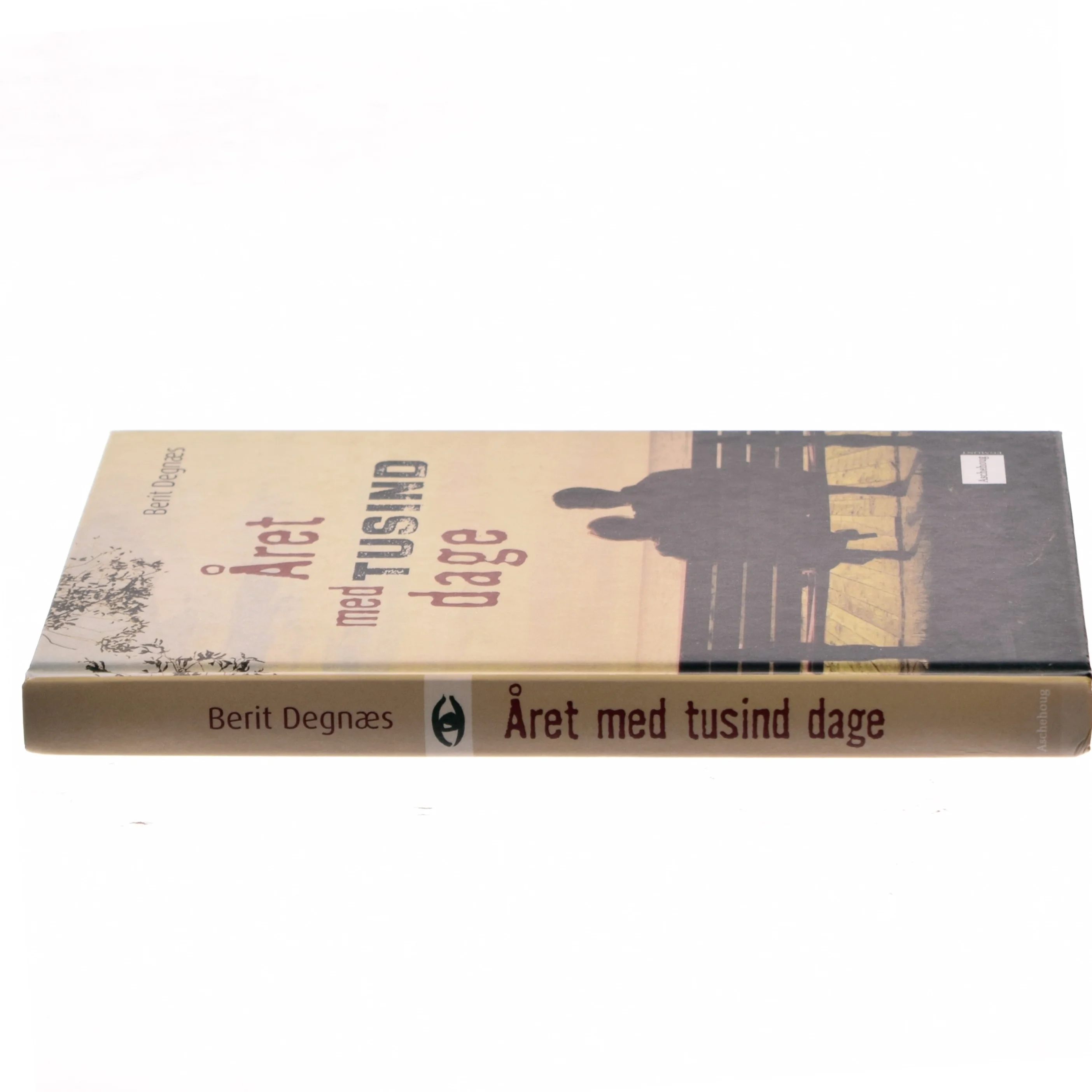 Året med tusind dage af Berit Degnæs (Bog)
