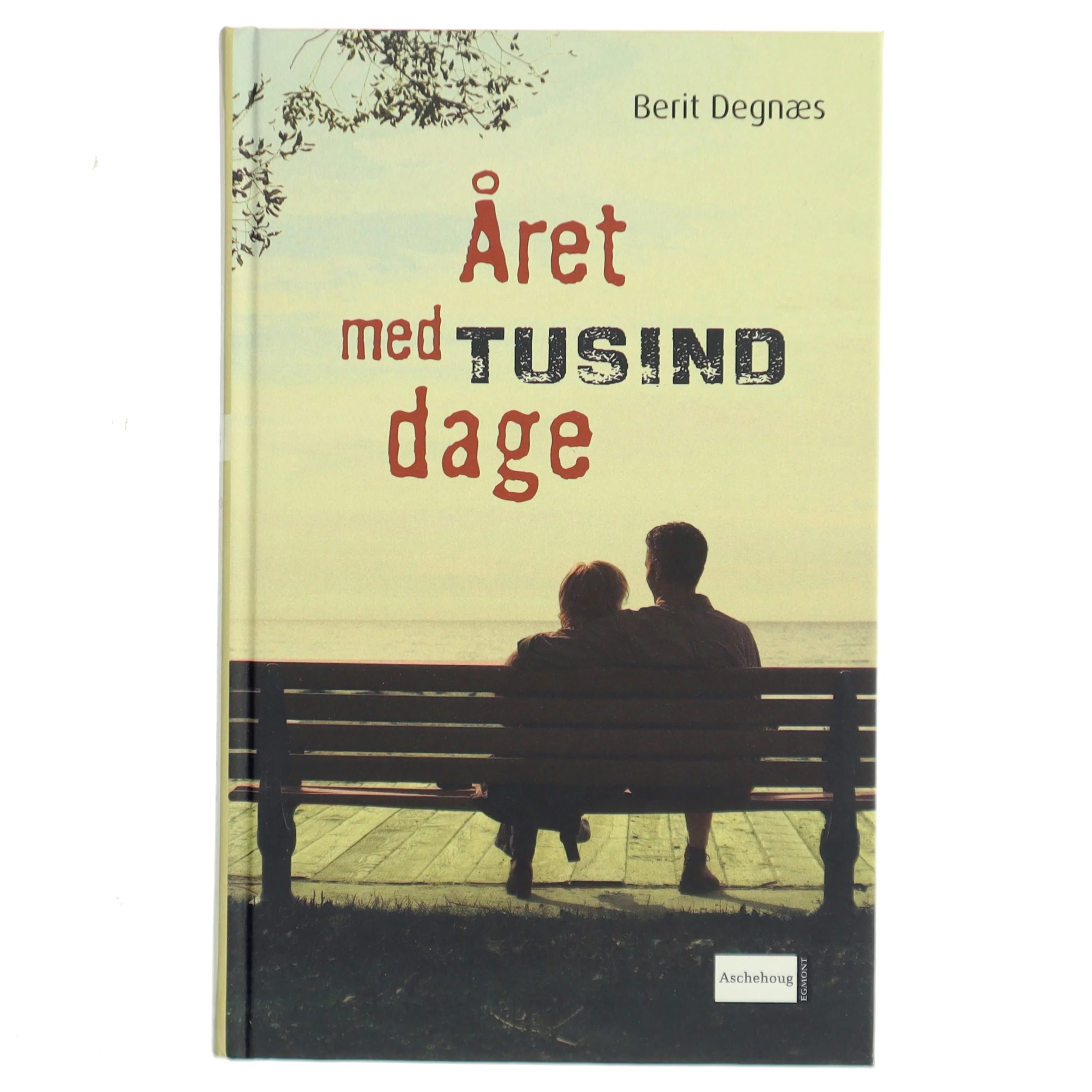 Året med tusind dage af Berit Degnæs (Bog)
