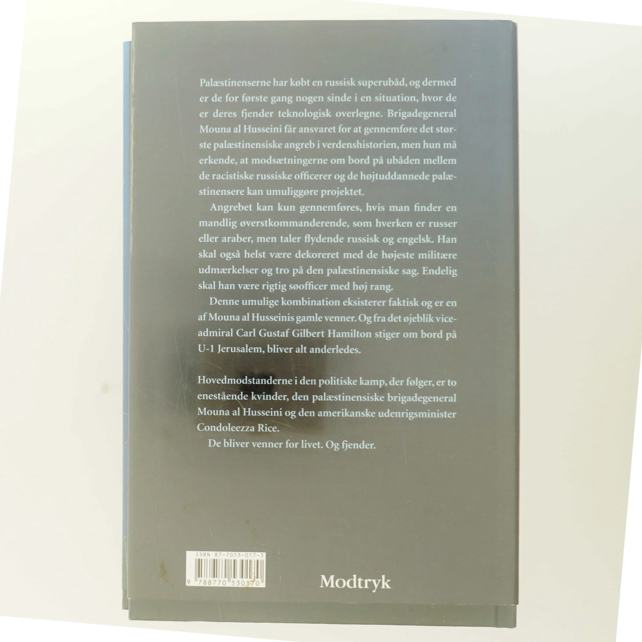 Madame Terror af Jan Guillou (Bog)