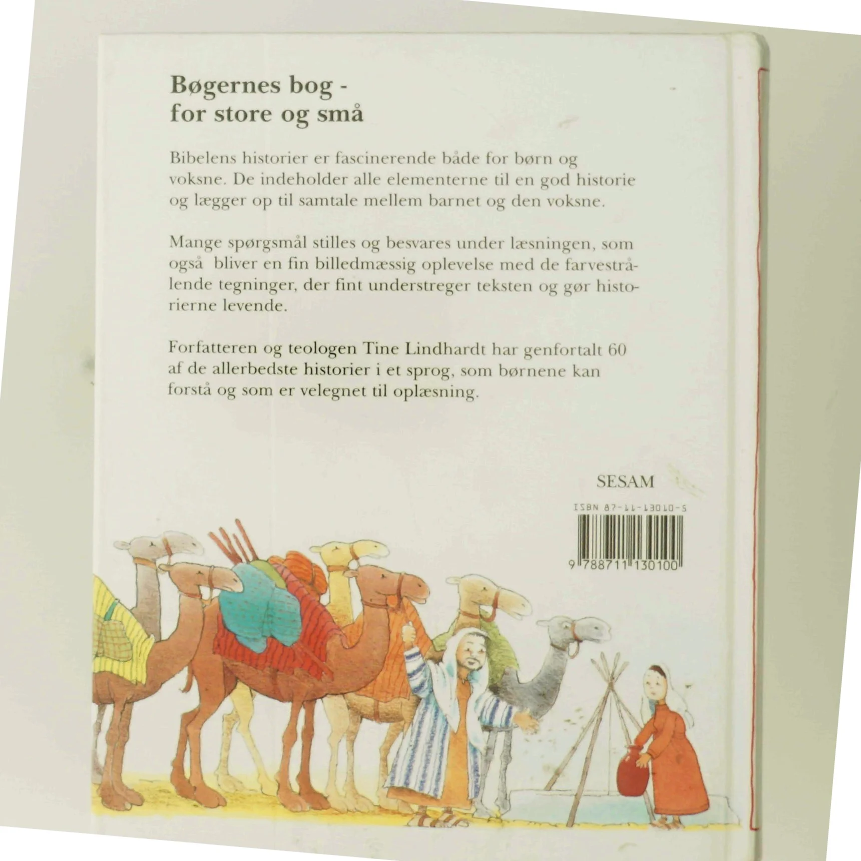 Sesams børnebibel af Tine Lindhardt (Bog)