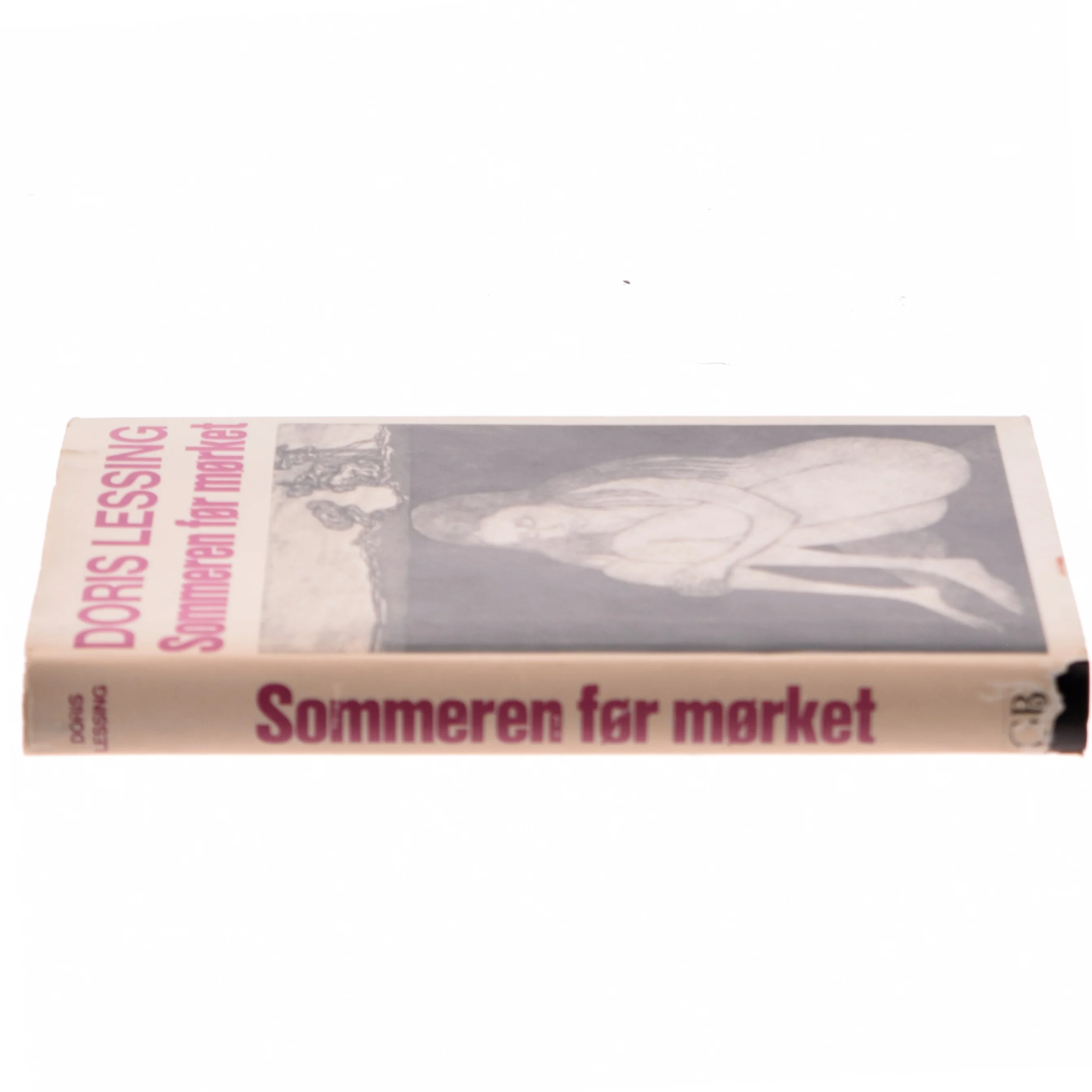 Sommeren før mørket af Doris Lessing (Bog)