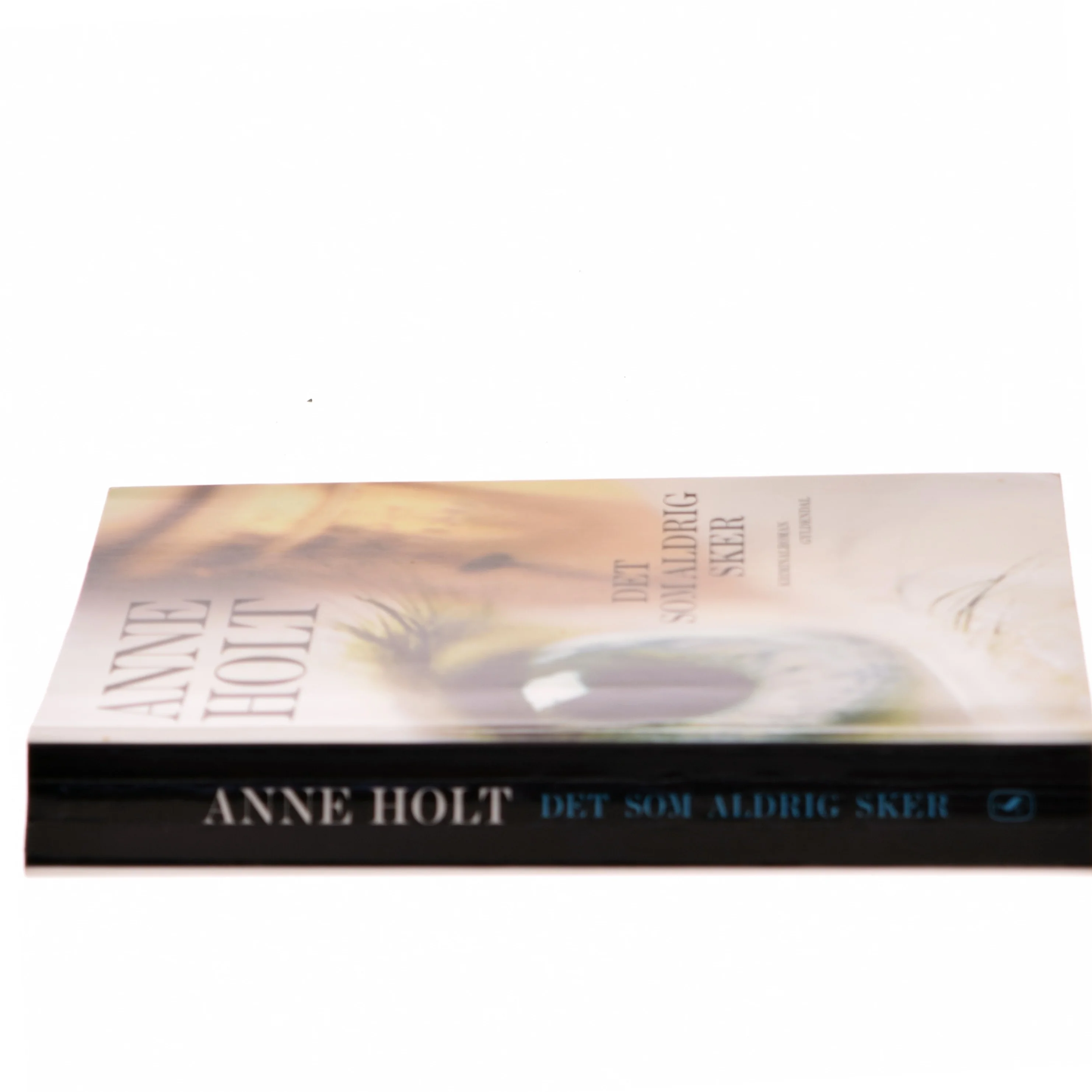 Det som aldrig sker af Anne Holt (f. 1958-11-16) (Bog) fra Gyldendal