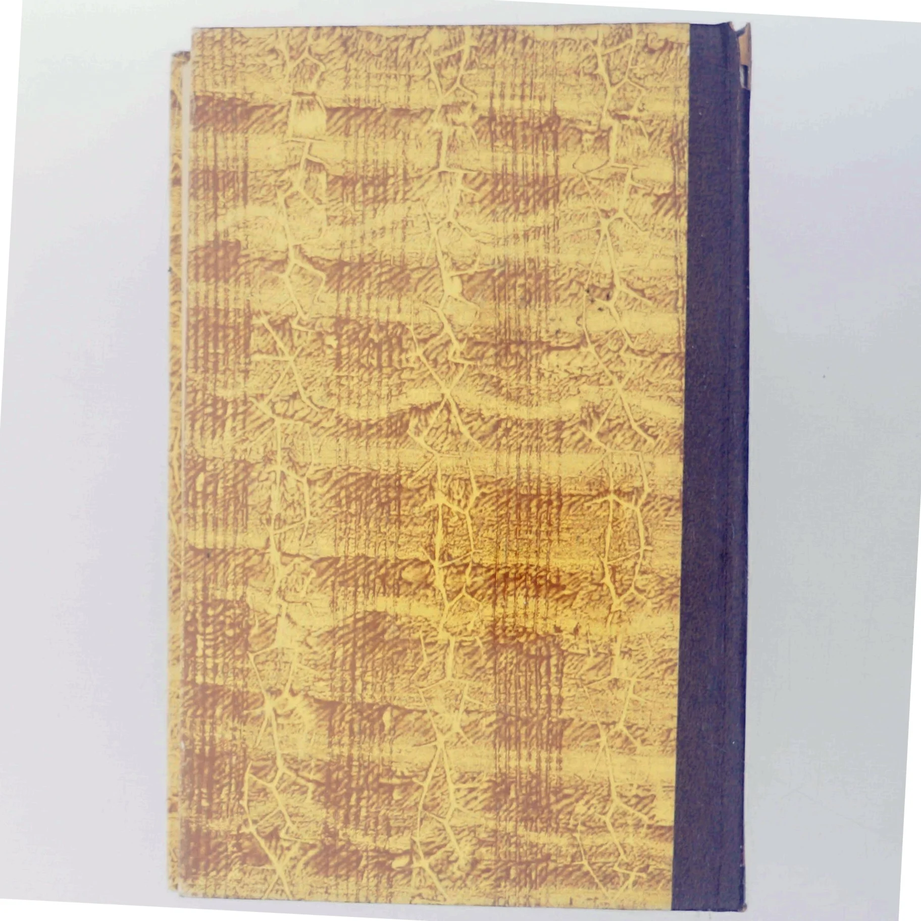 Huset ved Stranden af Daphne Du Maurier (Bog)