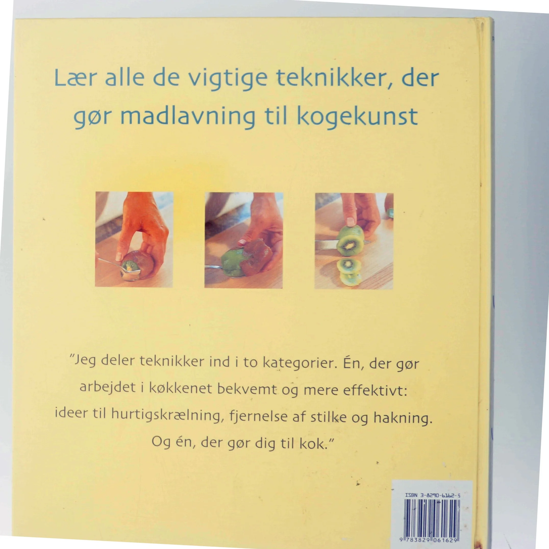 Gastronomisk grundbog af James Peterson (Bog)