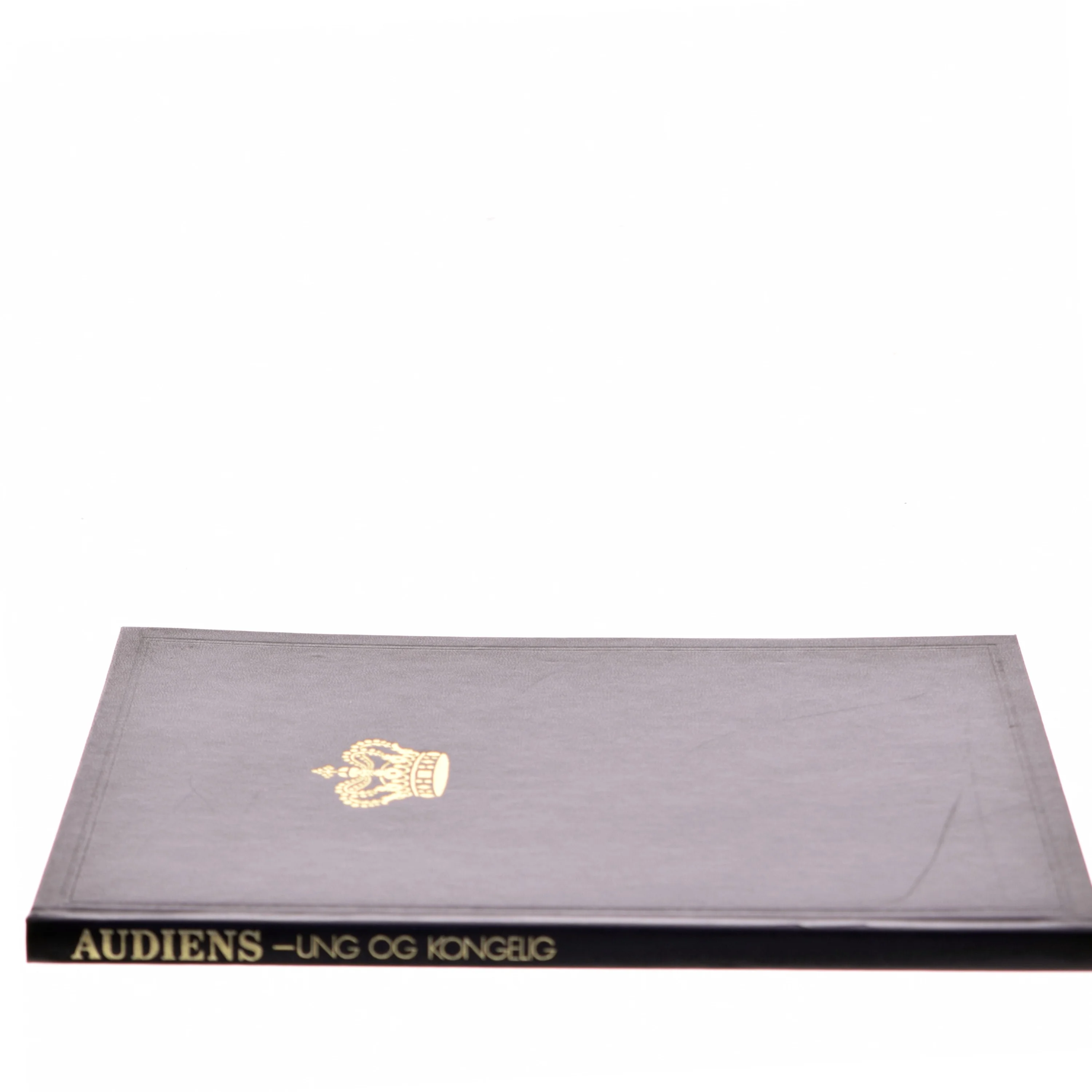 Audiens - Ung og Kongelig (Bog)