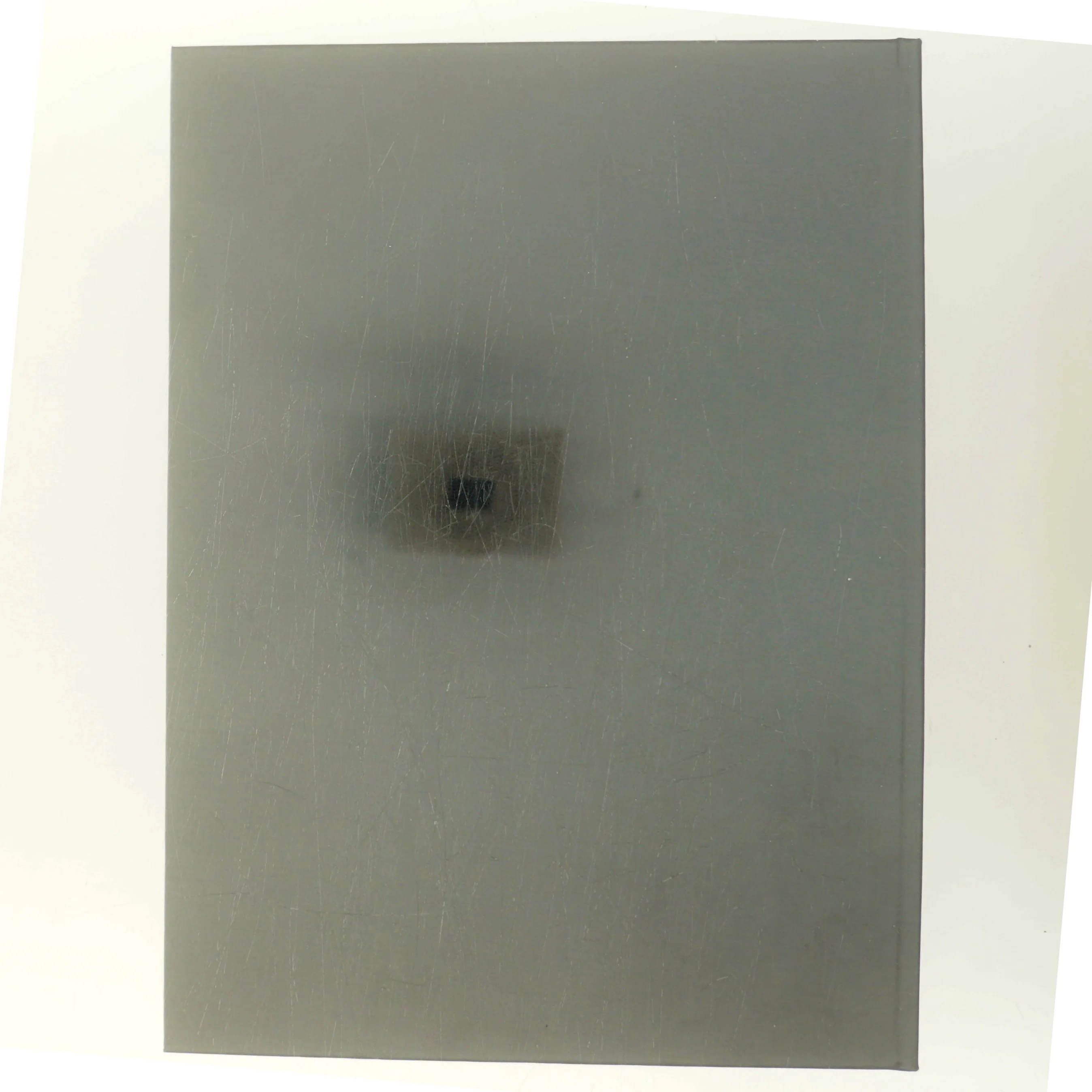 Audiens - Ung og Kongelig (Bog)