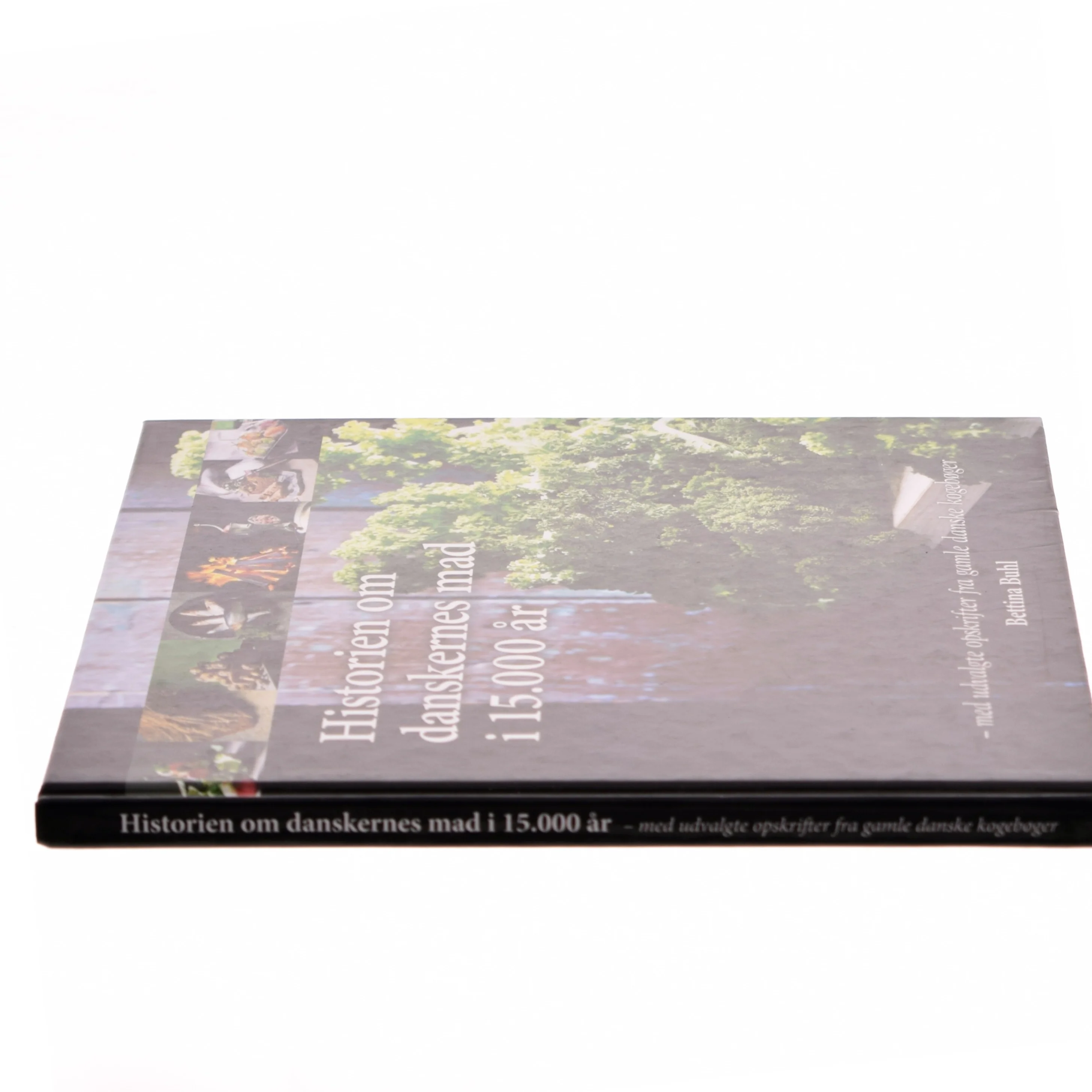 Historien om danskernes mad i 15.000 år : med udvalgte opskrifter fra gamle danske kogebøger af Bettina Buhl (Bog)