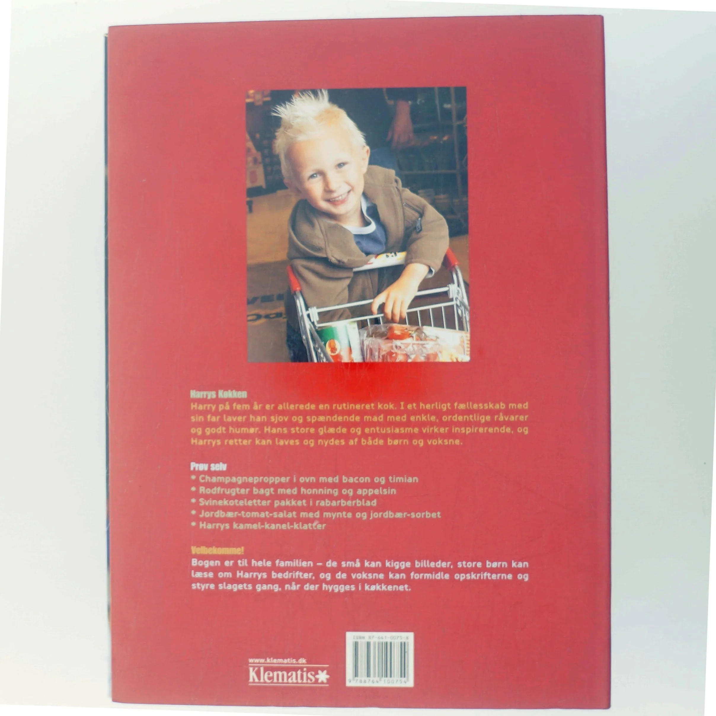 Harrys køkken : madlavning i børnehøjde af Carsten Kyster (Bog)