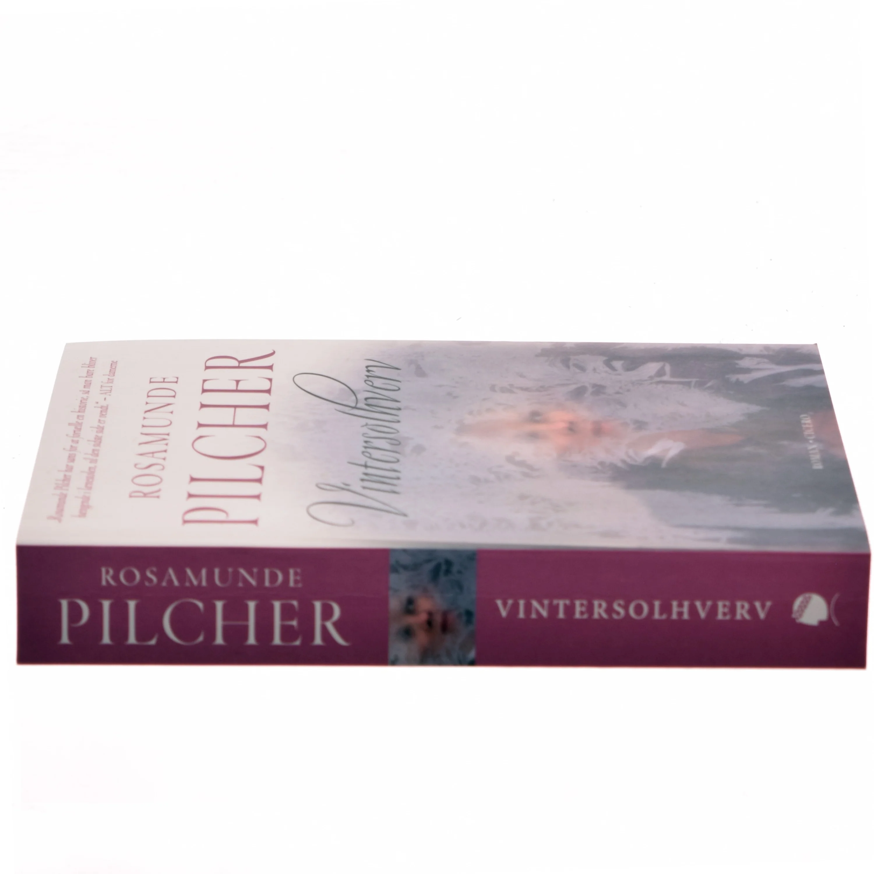 Vintersolhverv af Rosamunde Pilcher (Bog)