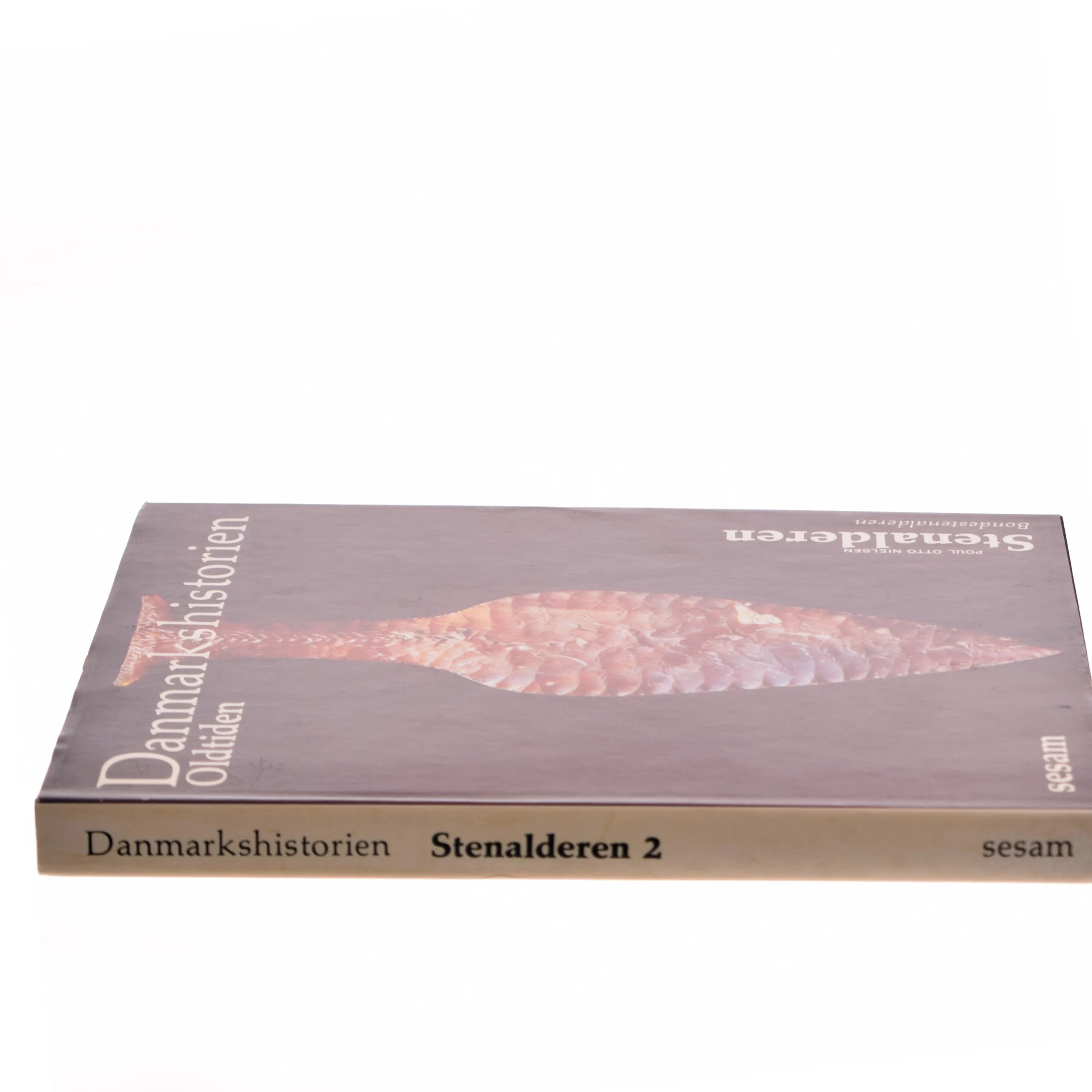 Danmarkshistorien Oldtiden af Poul Otto Nielsen (Bog)