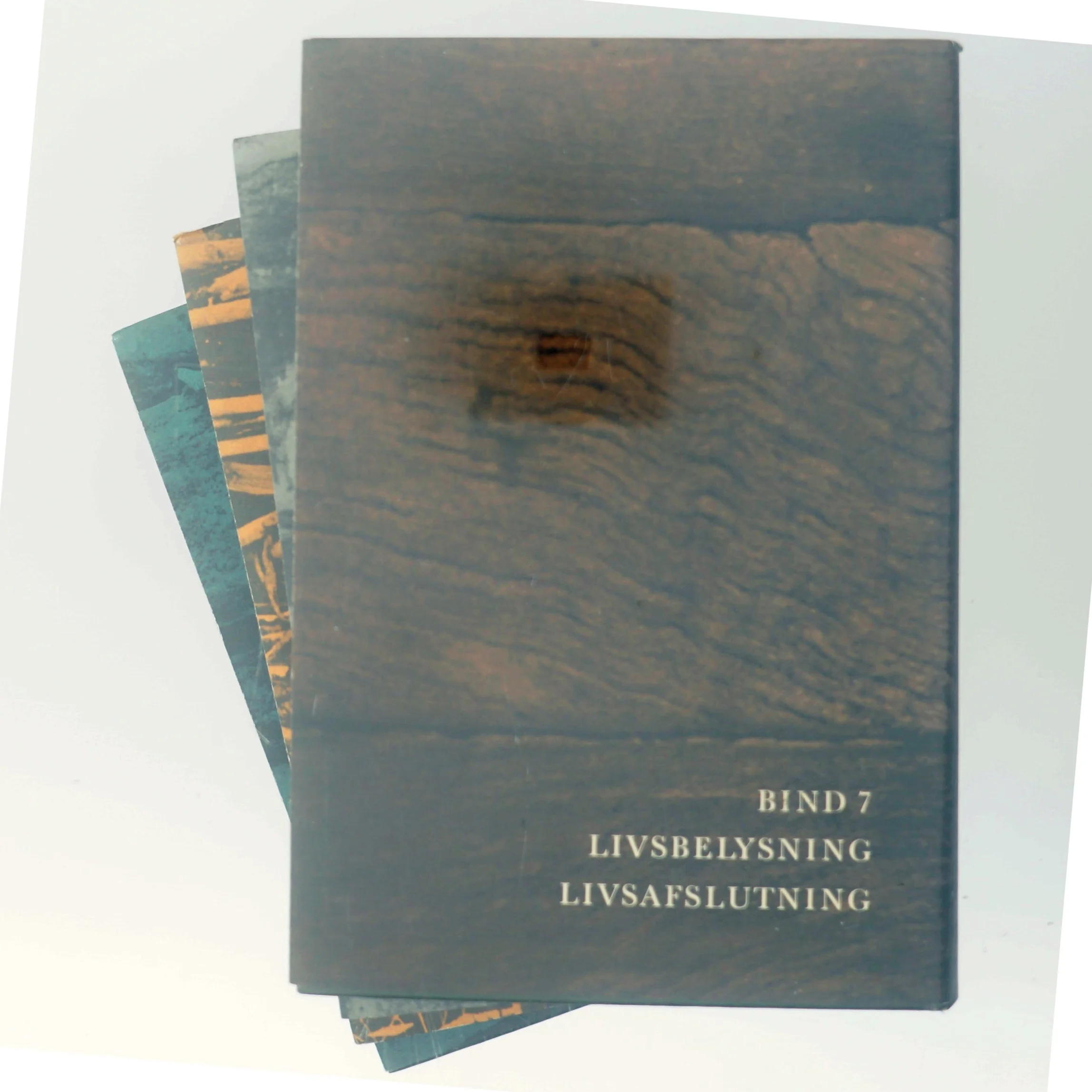 Dagligt Liv i Norden af Troels-Lund (Bog)